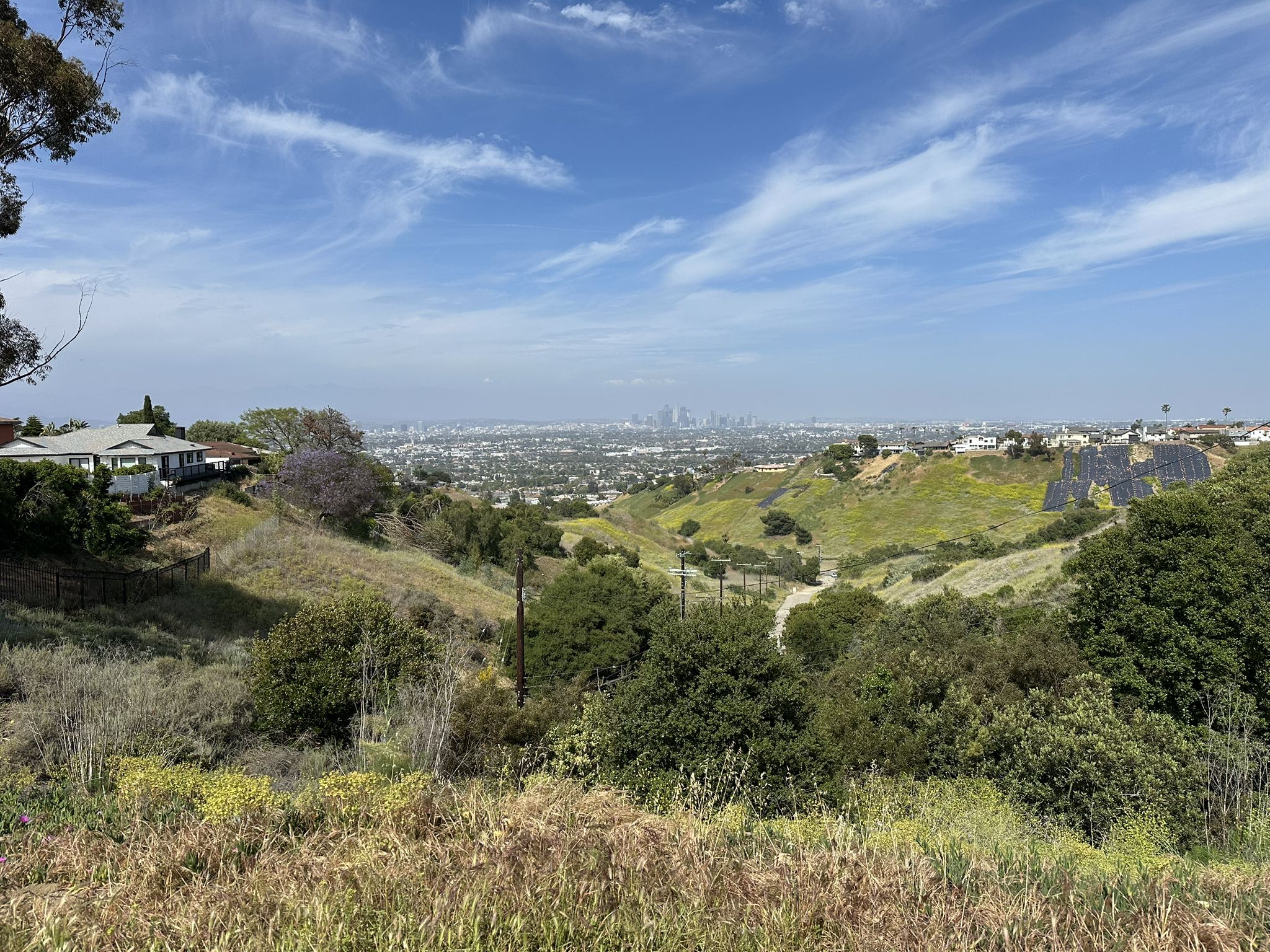 Panoramic view of a distant city skyline over green, rolling hills. - Vistas, waterfall, lake & memorial run – Kenneth Hahn State Recreational Area
