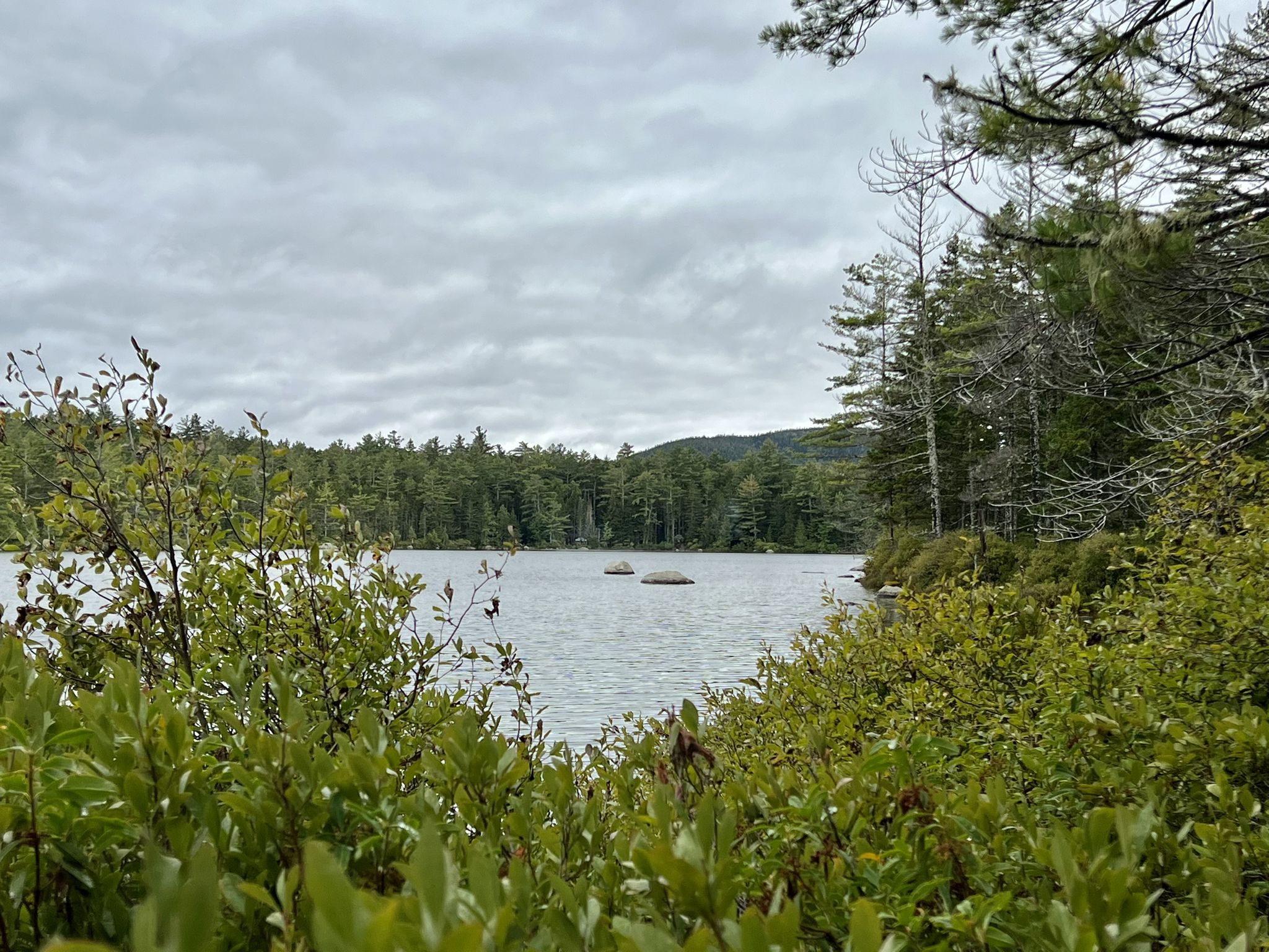 A serene lake surrounded by dense forest under a cloudy sky. - Daicey Pond and Elbow Pond Loop