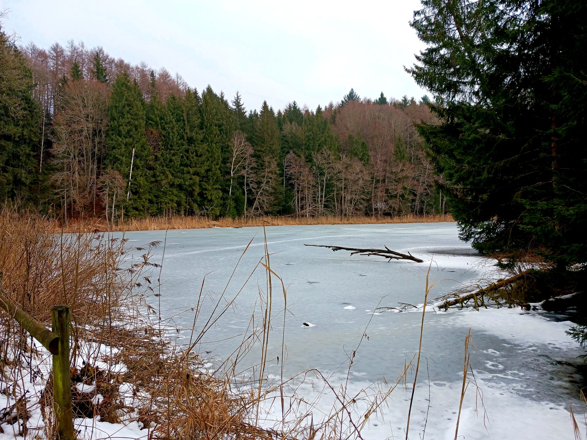 Ilgenweiher