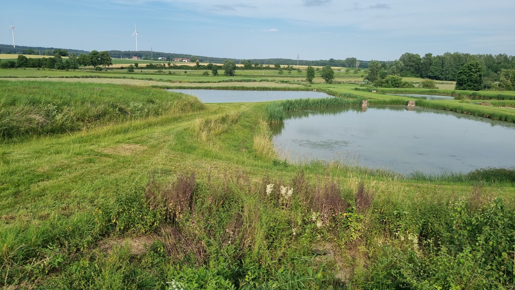 Fischteiche am Heiligbach