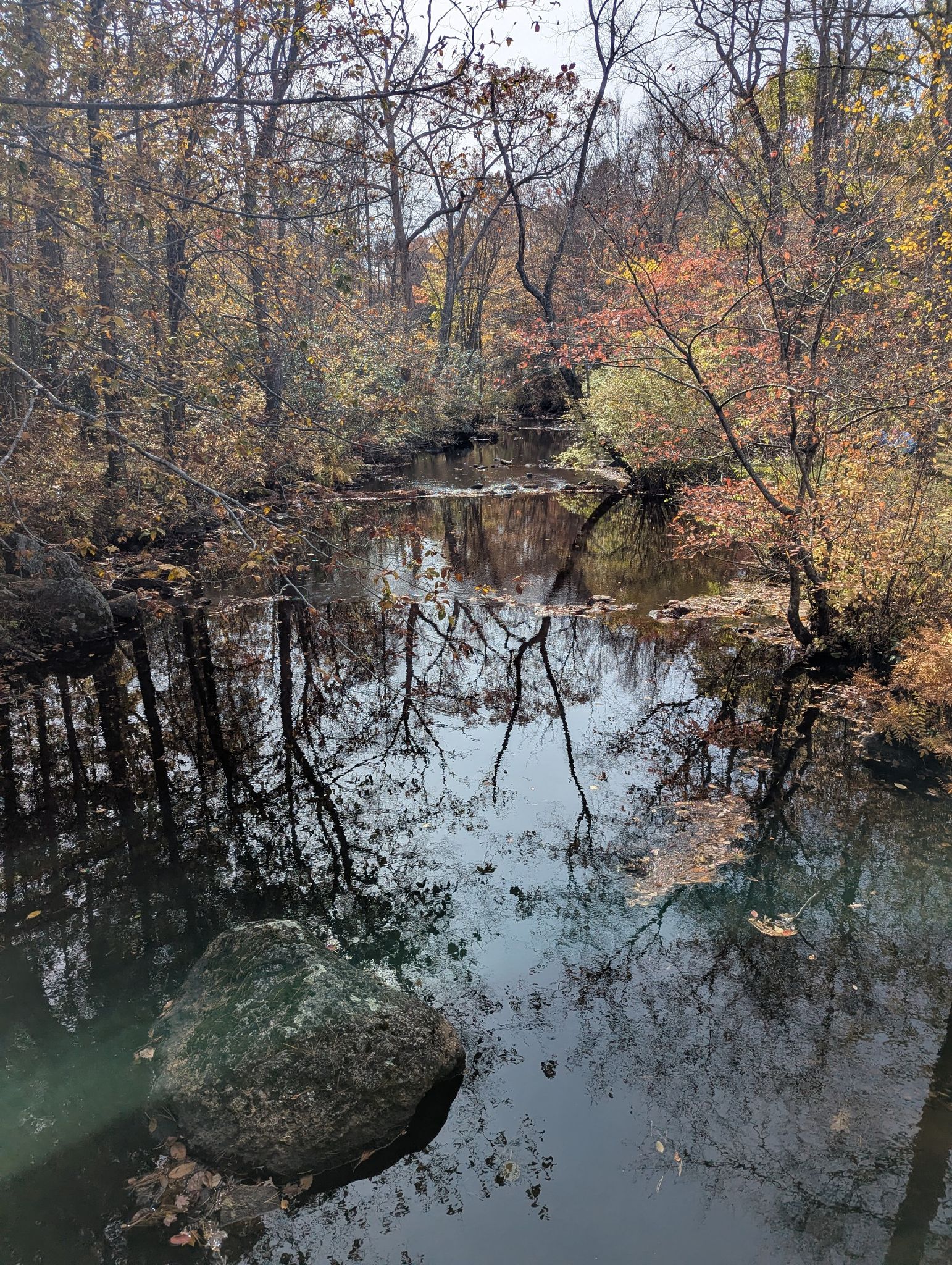 Calm stream reflecting autumn trees under an overcast sky. - Vista Trail and Devil's Oven Loop