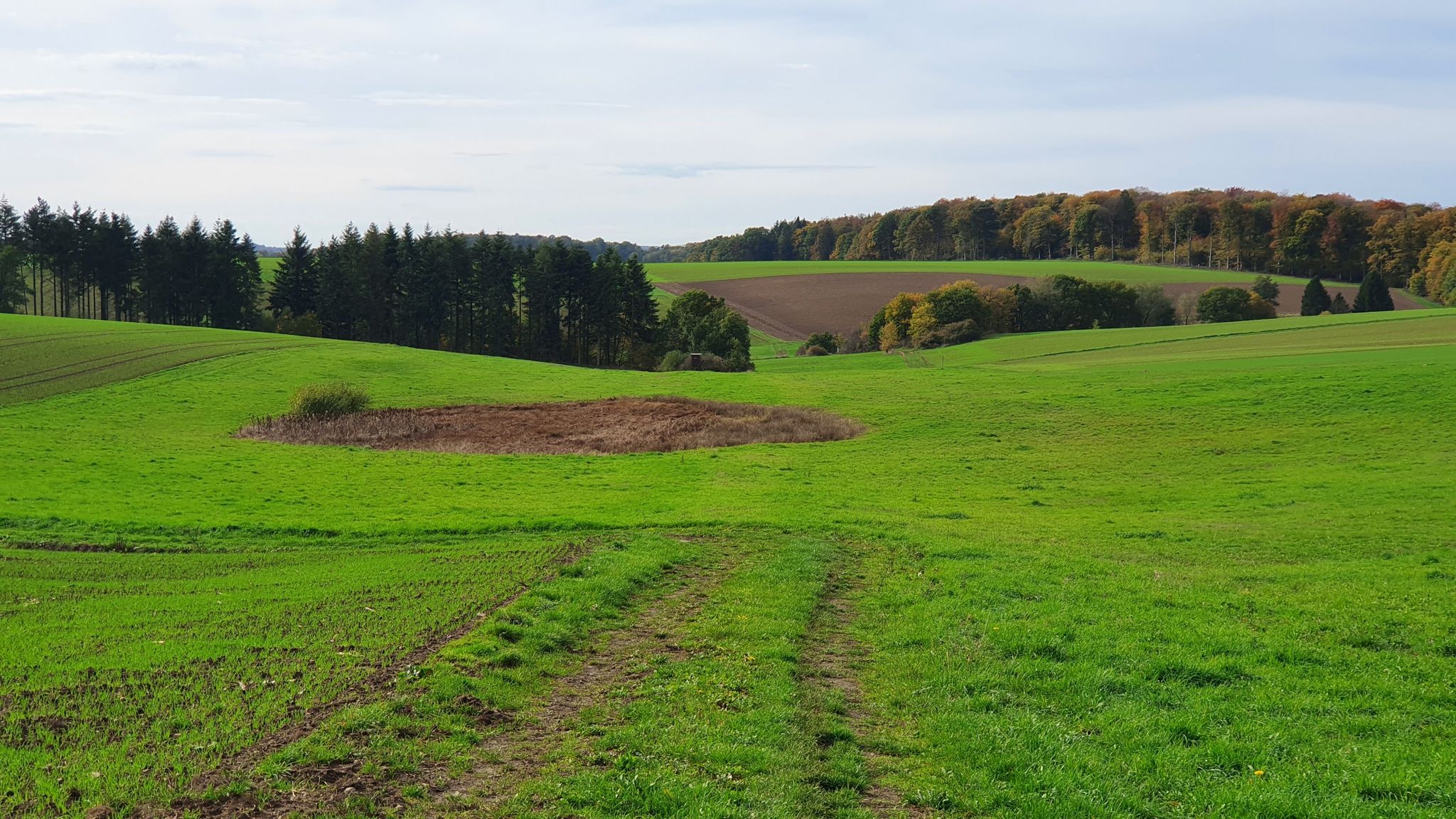 Hetsche Maar