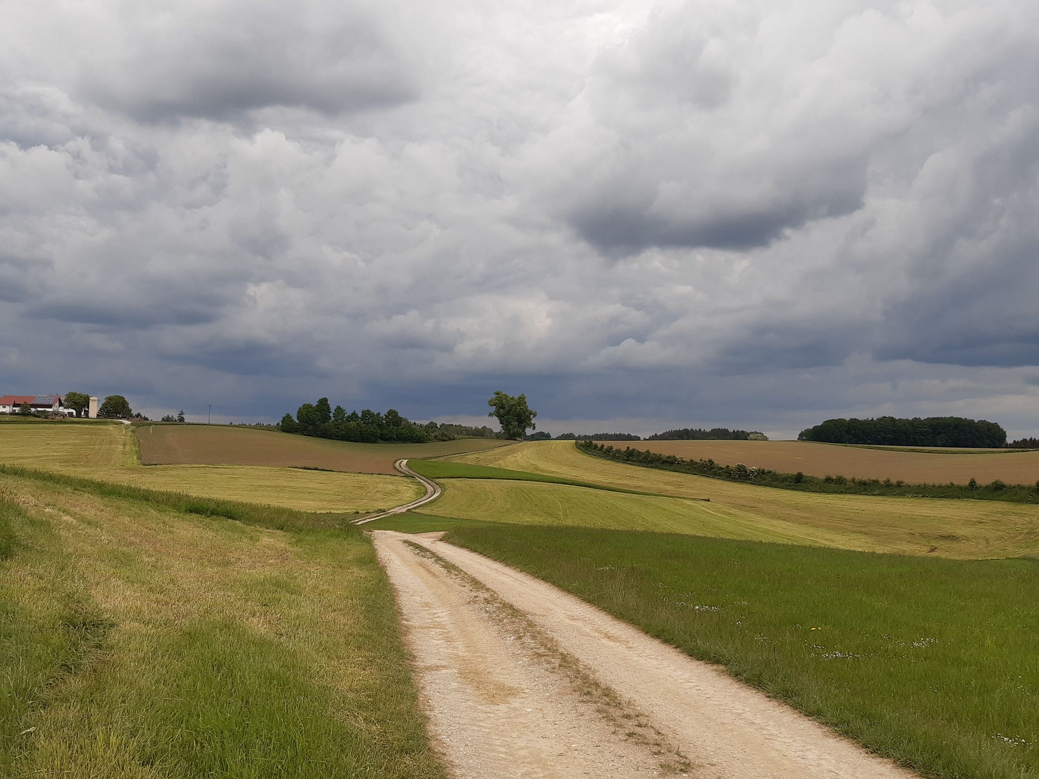 Dees Wetter schaud irgendwie need so guad aus !