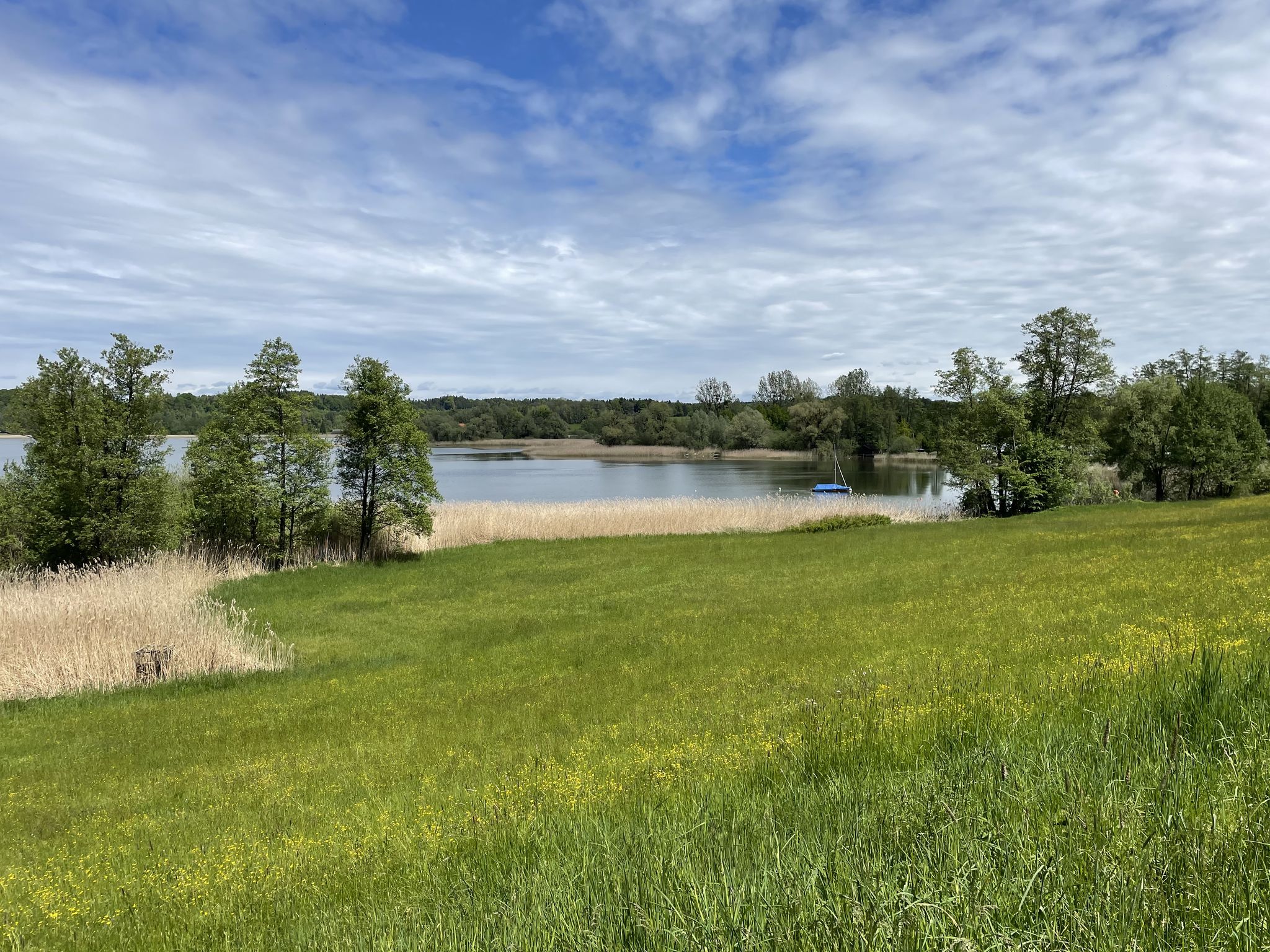 Simssee