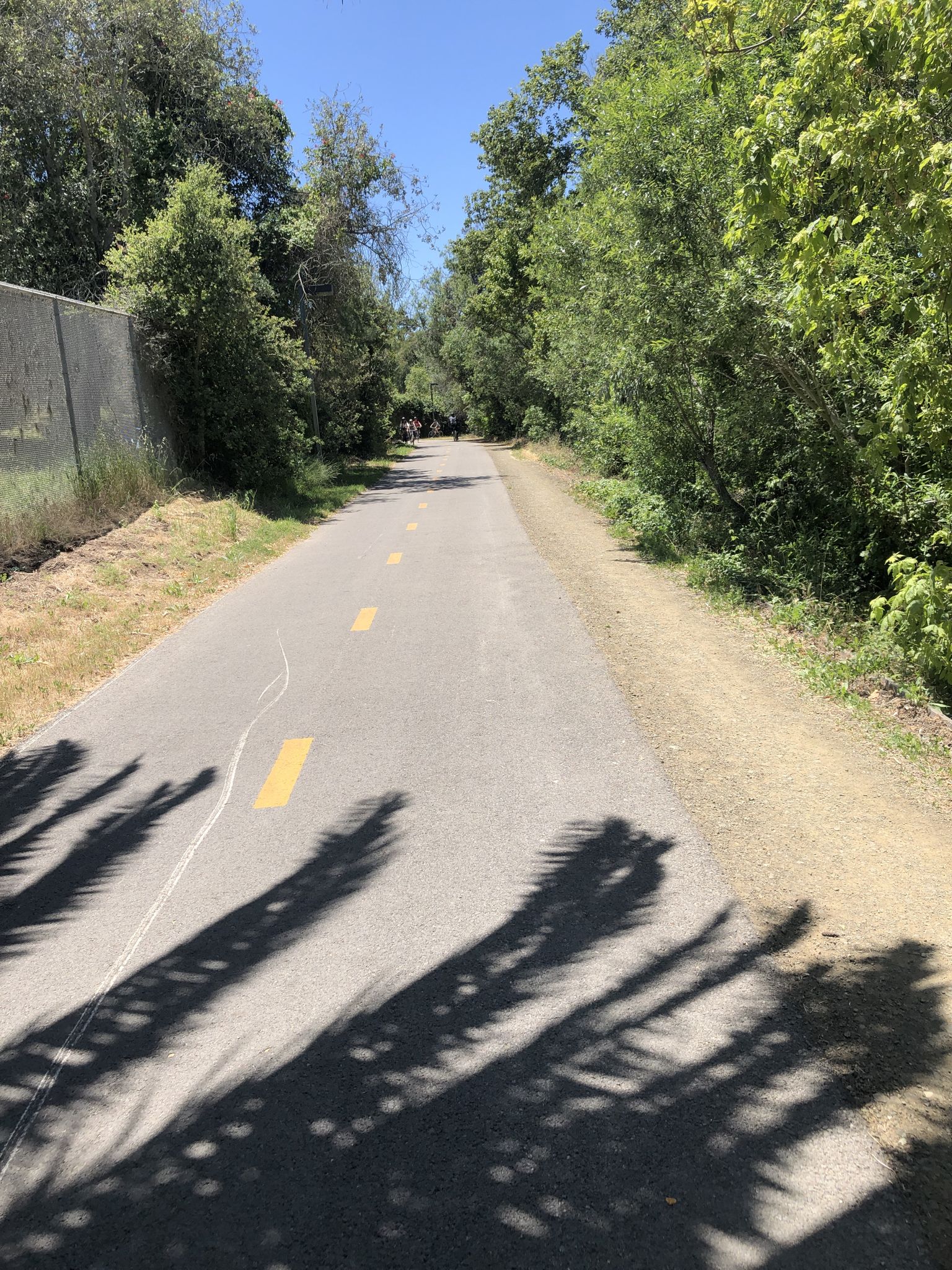 Paved path shaded by trees with palm frond shadows on a sunny day. - Maria Ygnacio Bike Route – Modoc Multi Use Trail loop from Bishop Garcia Diego High School