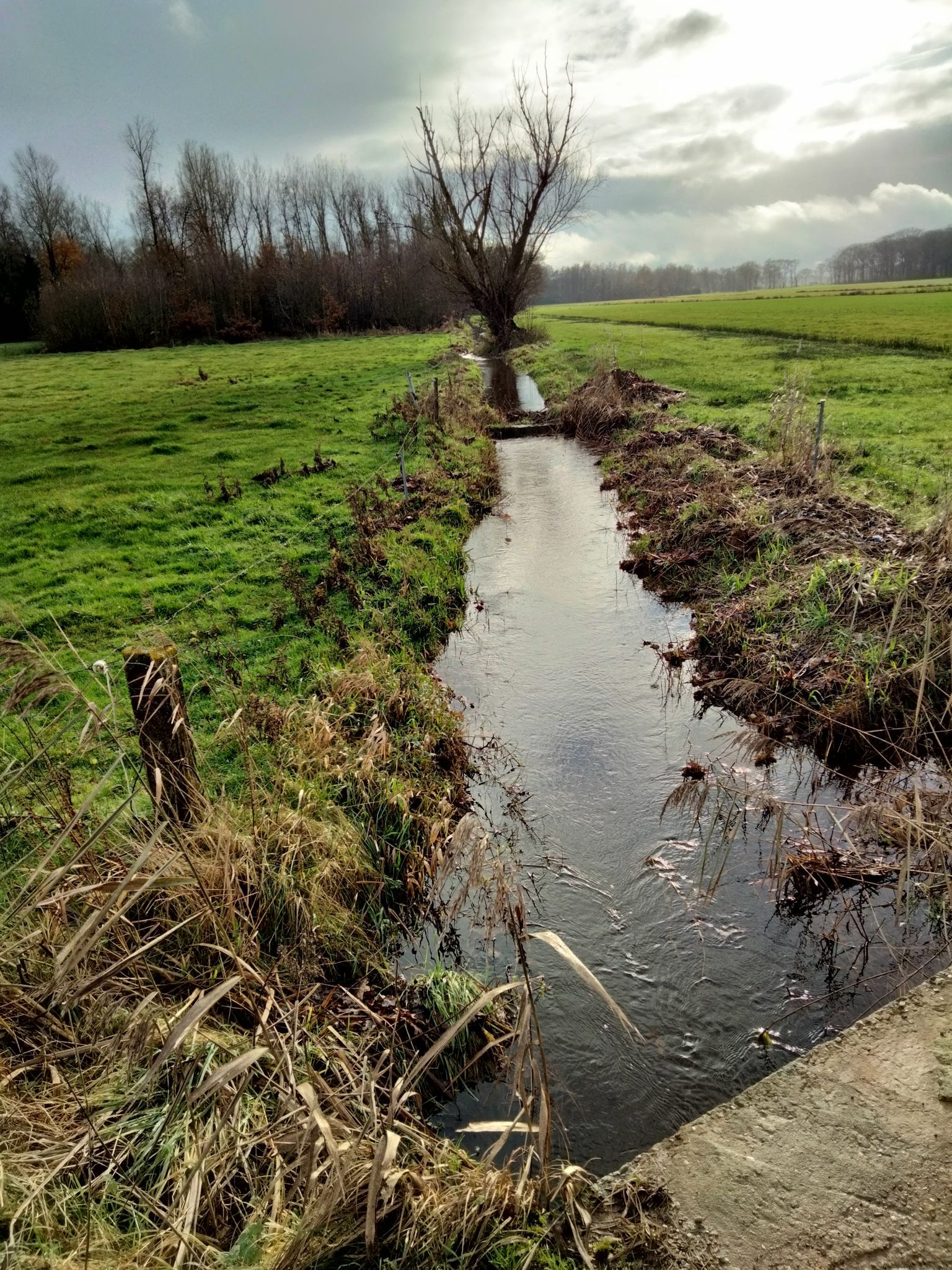 warmbeek