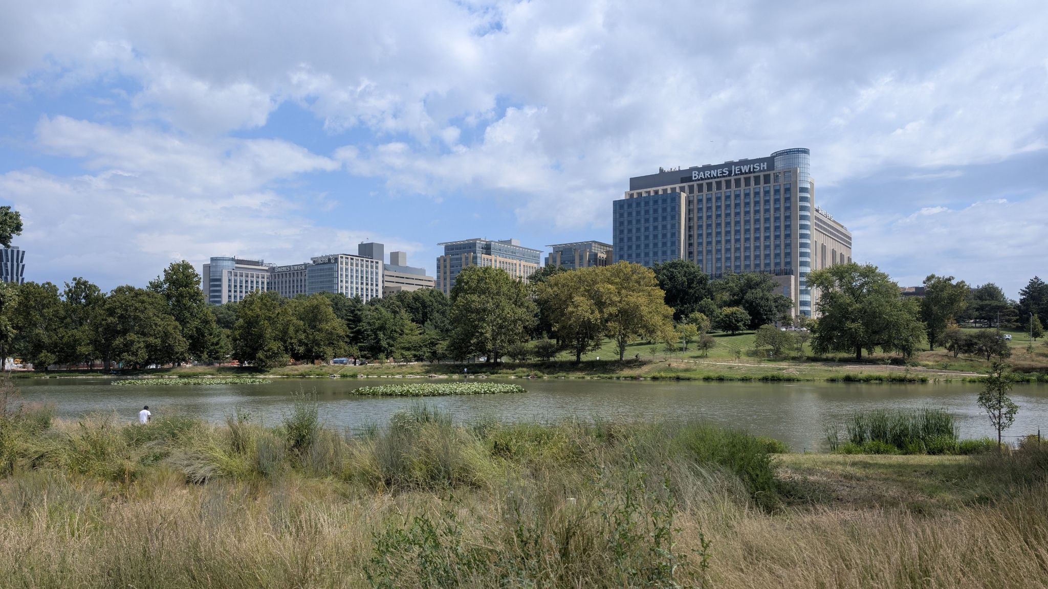 City buildings across a lake with green trees under a partly cloudy sky. - Forest Park running loop from University City-Big Bend