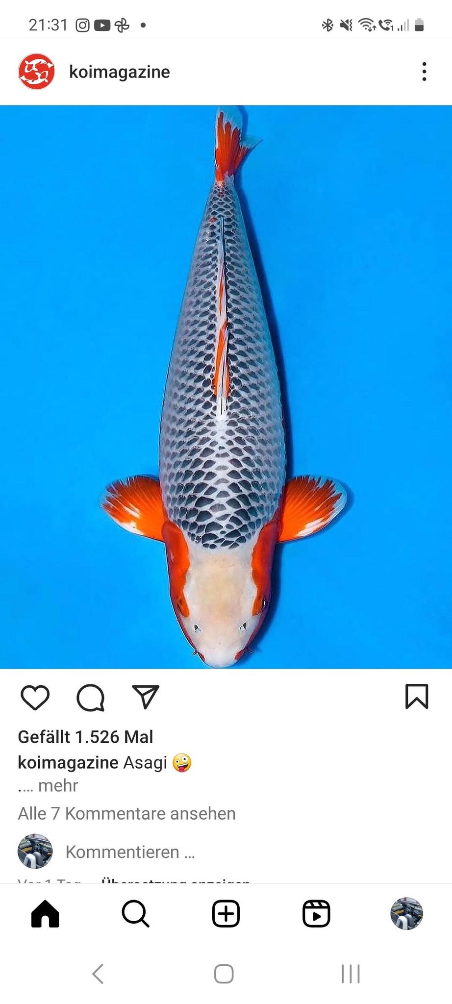 user avatar