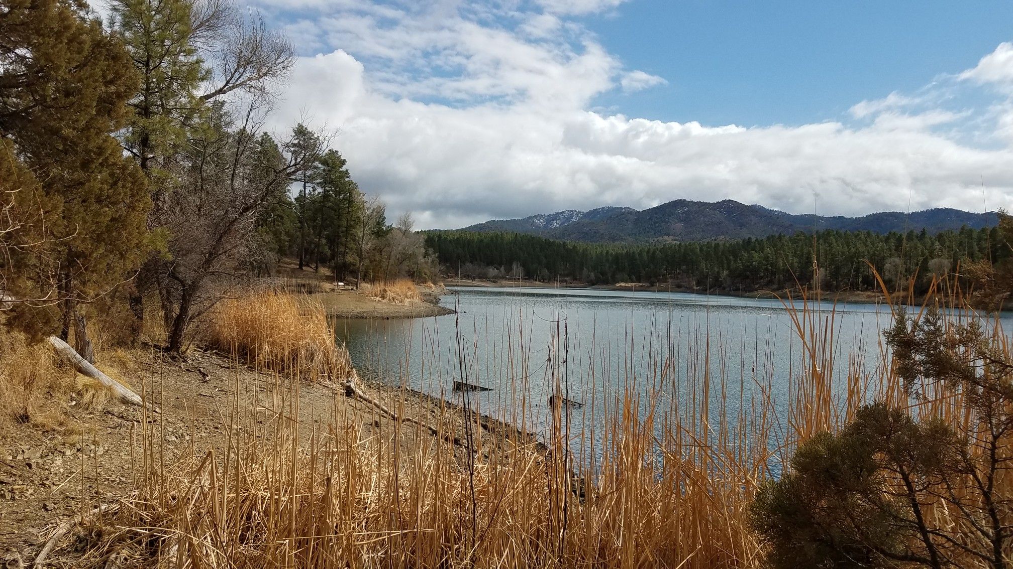 Lake with dry reeds along the shore, forested hills, and cloudy sky. - Salida and Homestead Trails Loop