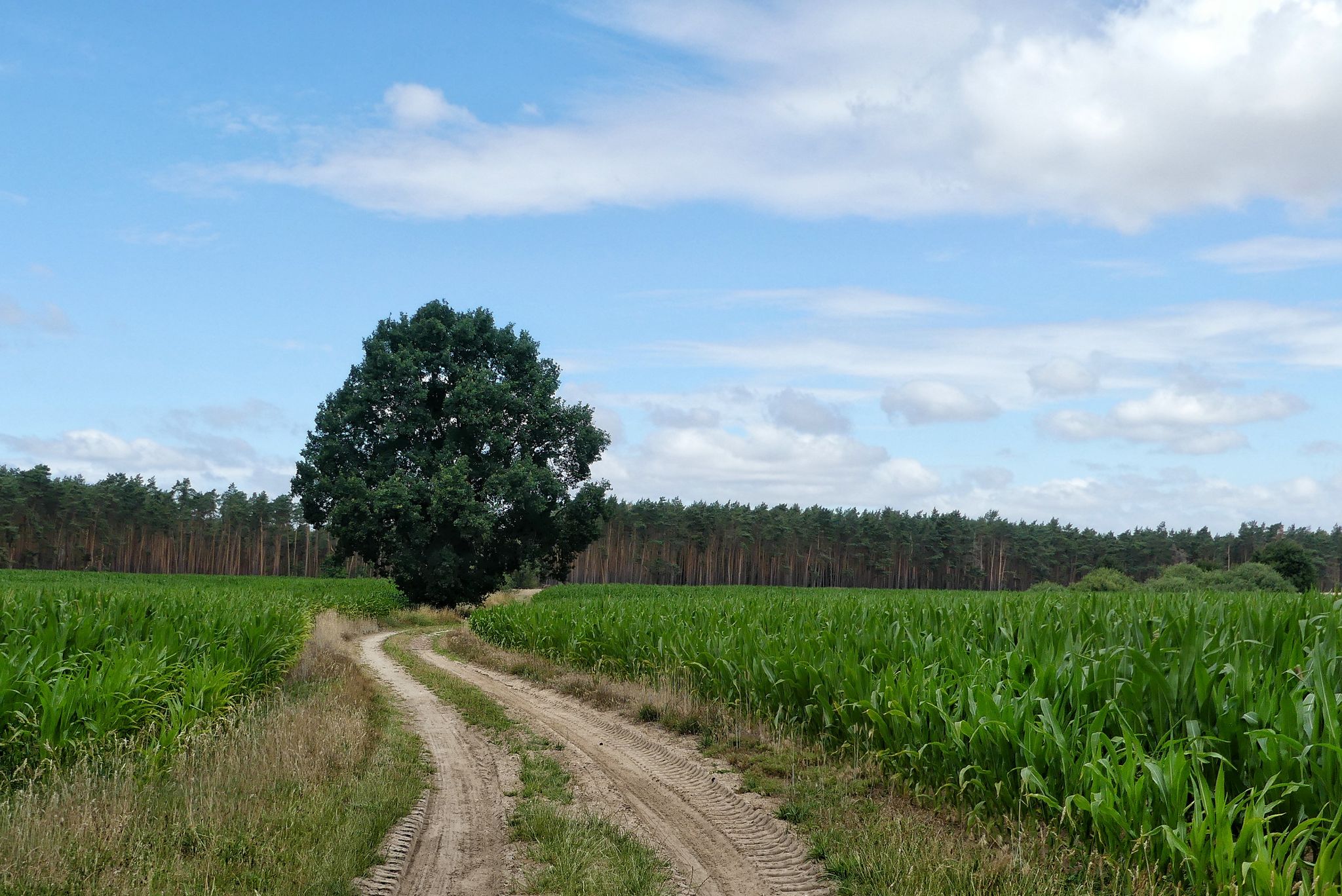 Abkürzung über die Sandpiste