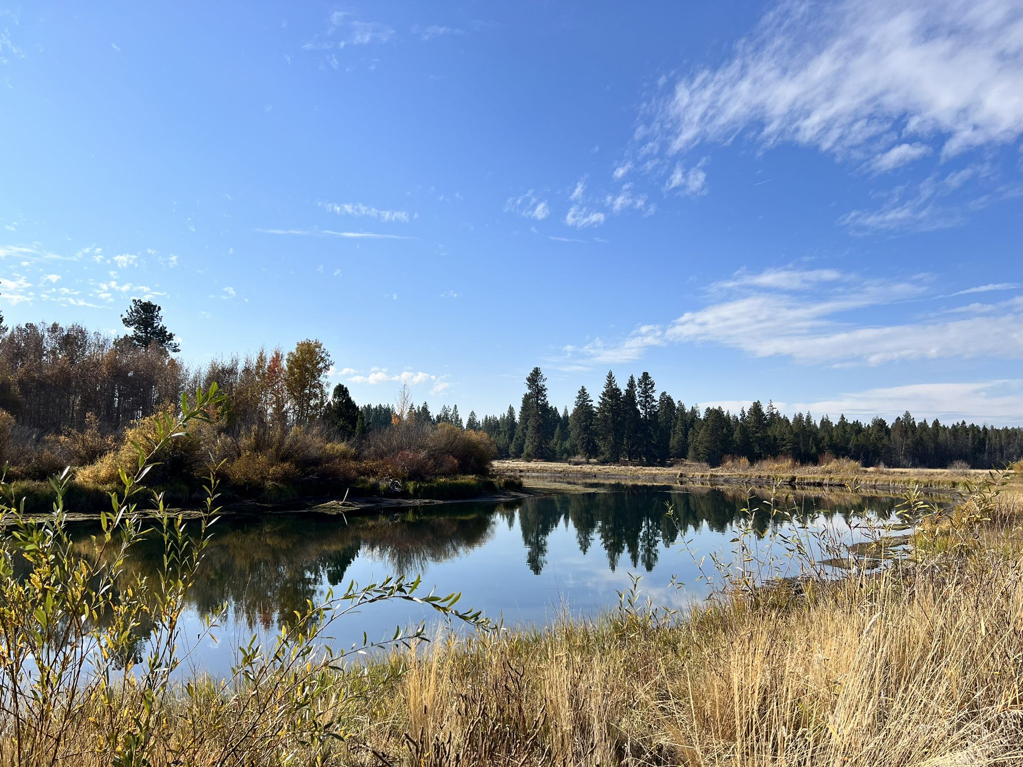 Calm river reflecting trees under a bright blue sky. - Deschutes River Trail: Dillon Falls to Benham Falls