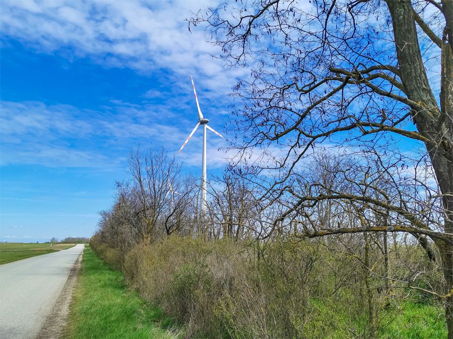 Windräder in Zurndorf