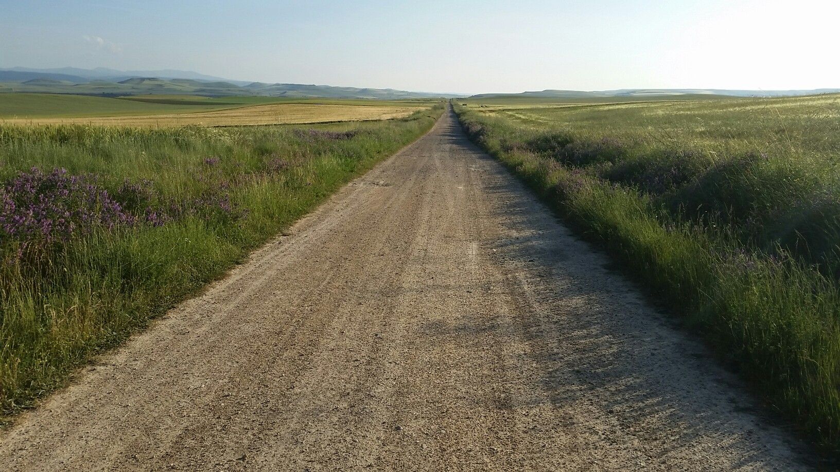 Jetzt habe ich 40 km Schottwrweg vor mir