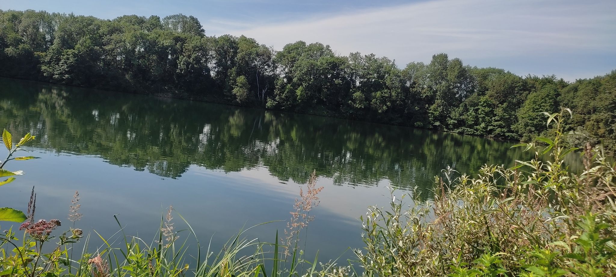 Waldsee bei Hackenbroich