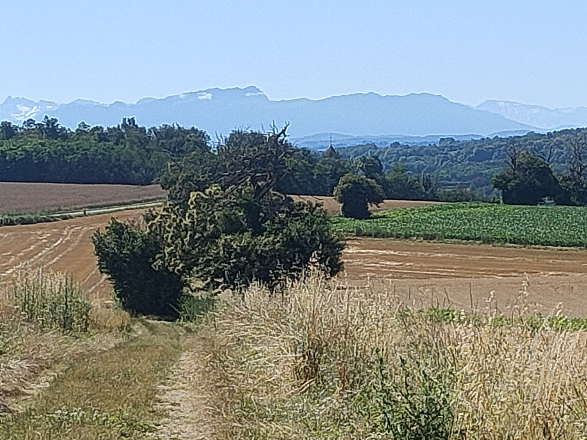 Les Alpes depuis Saint-Chef