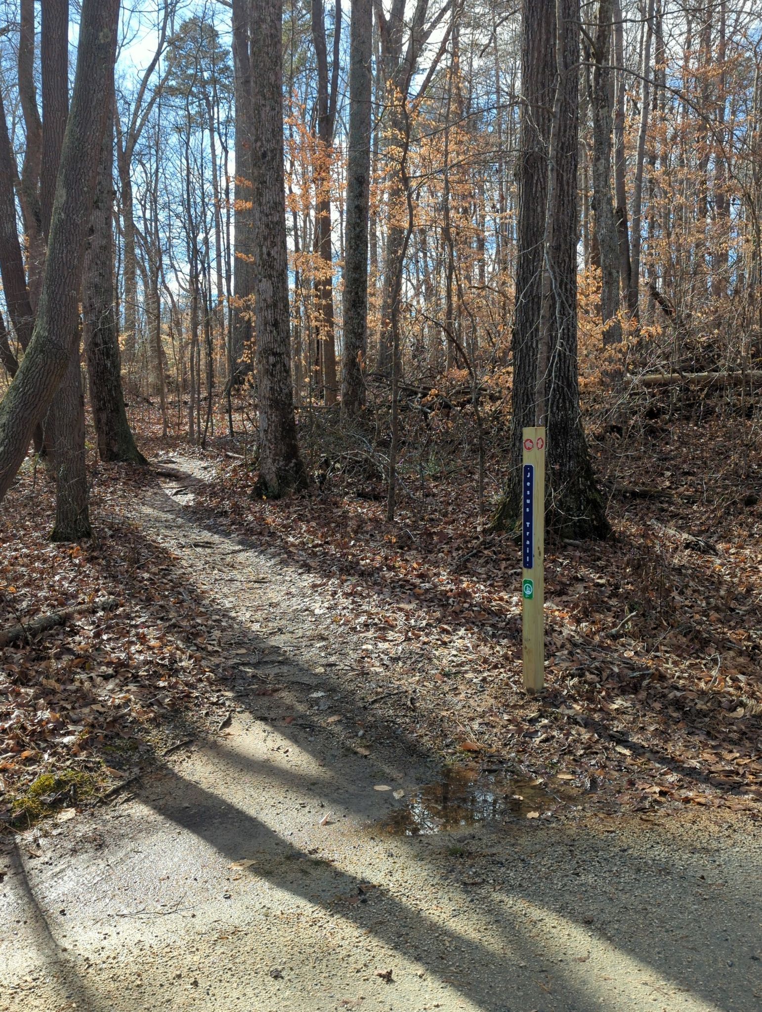 A sun-dappled forest path with a wooden trail marker among tall trees. - Salem Lake Trail loop from Kerners Mill Creek