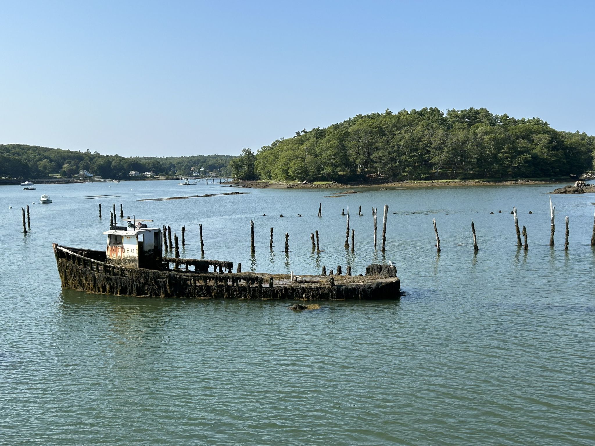 Large, decaying shipwreck in a sunny, calm bay with green trees. - Trevett Country Store loop from Boothbay Harbor