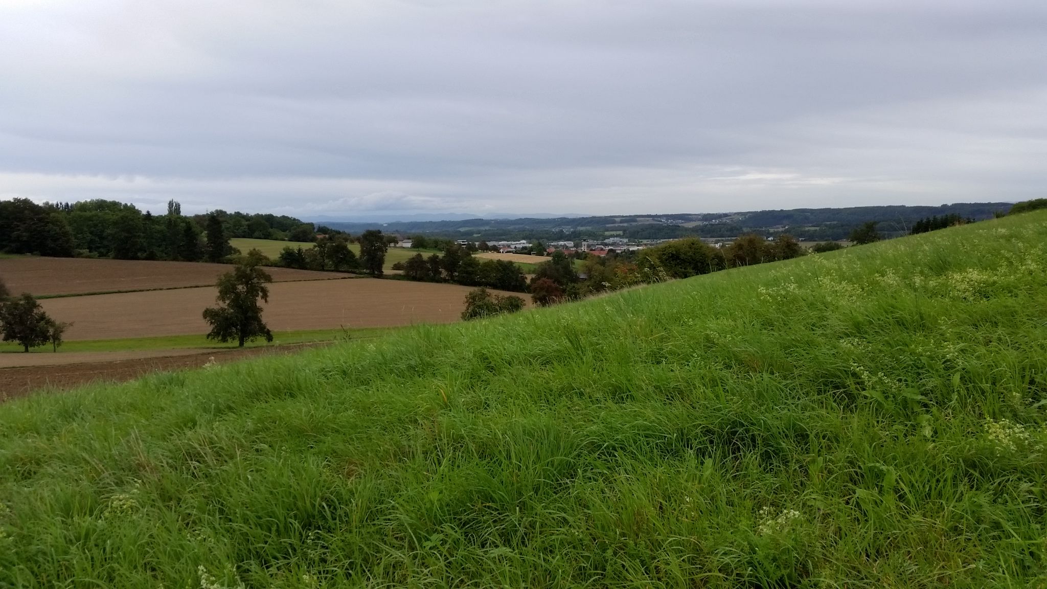 Blick nach Gleink