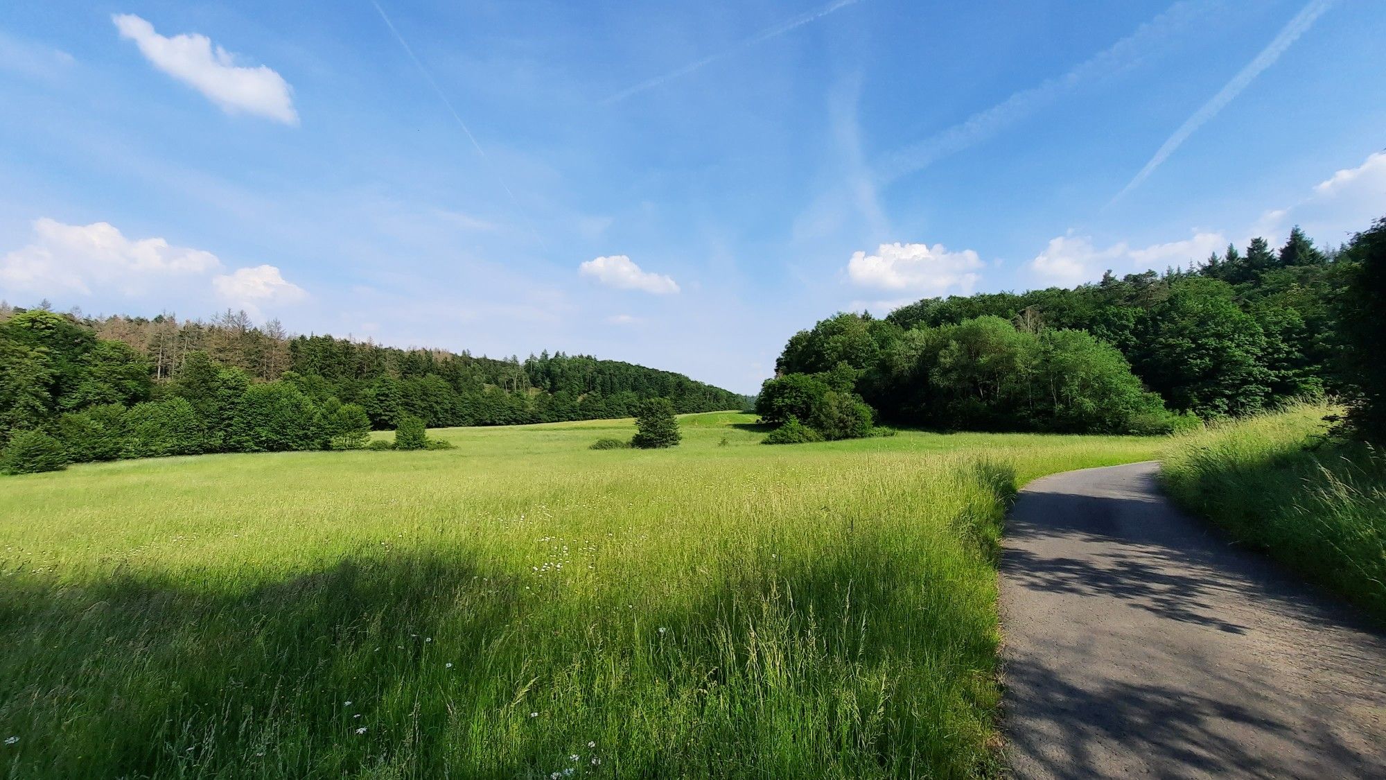 Auf dem Seeweg nahe Bodenroder Bach