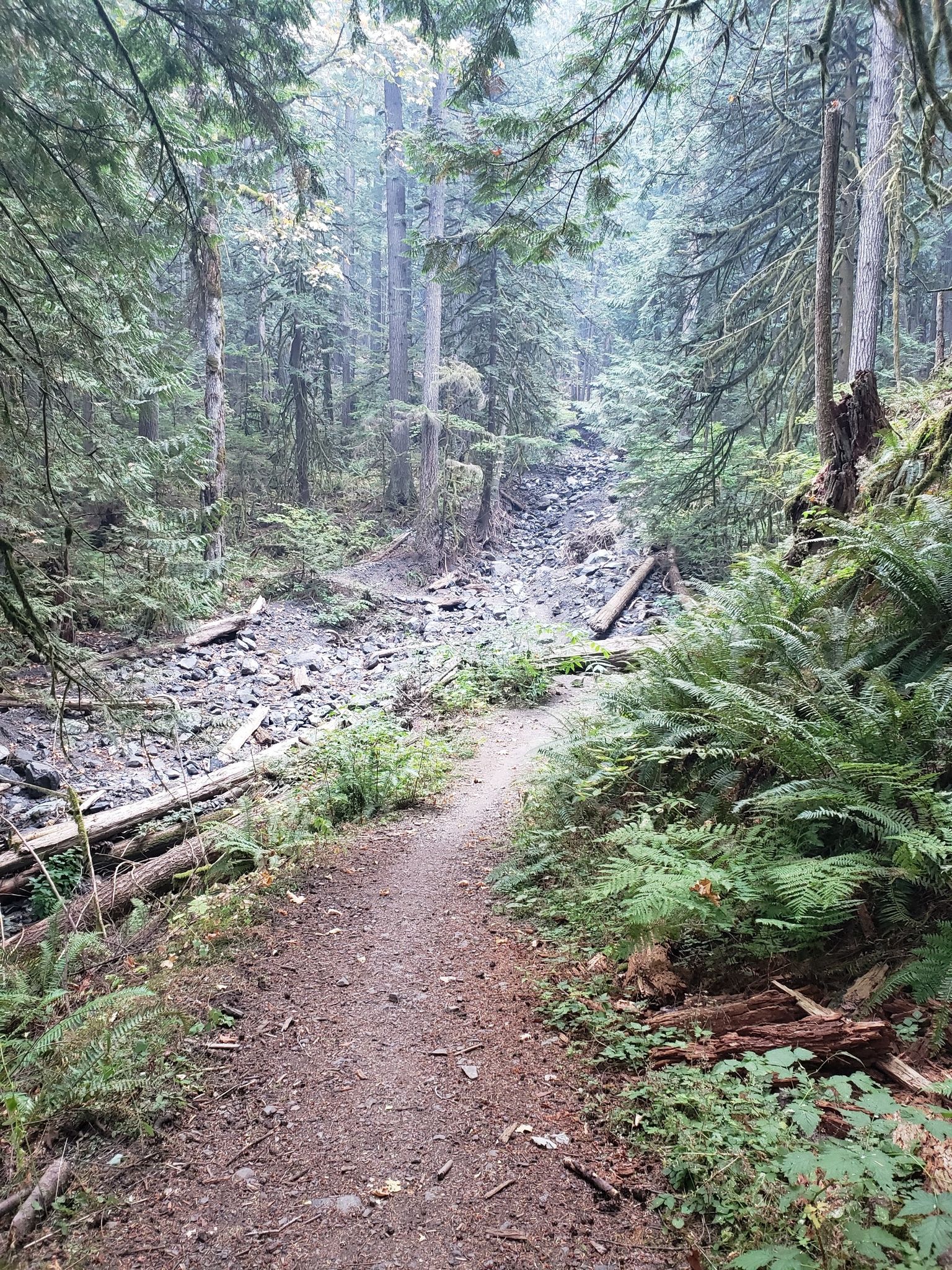 Ravine