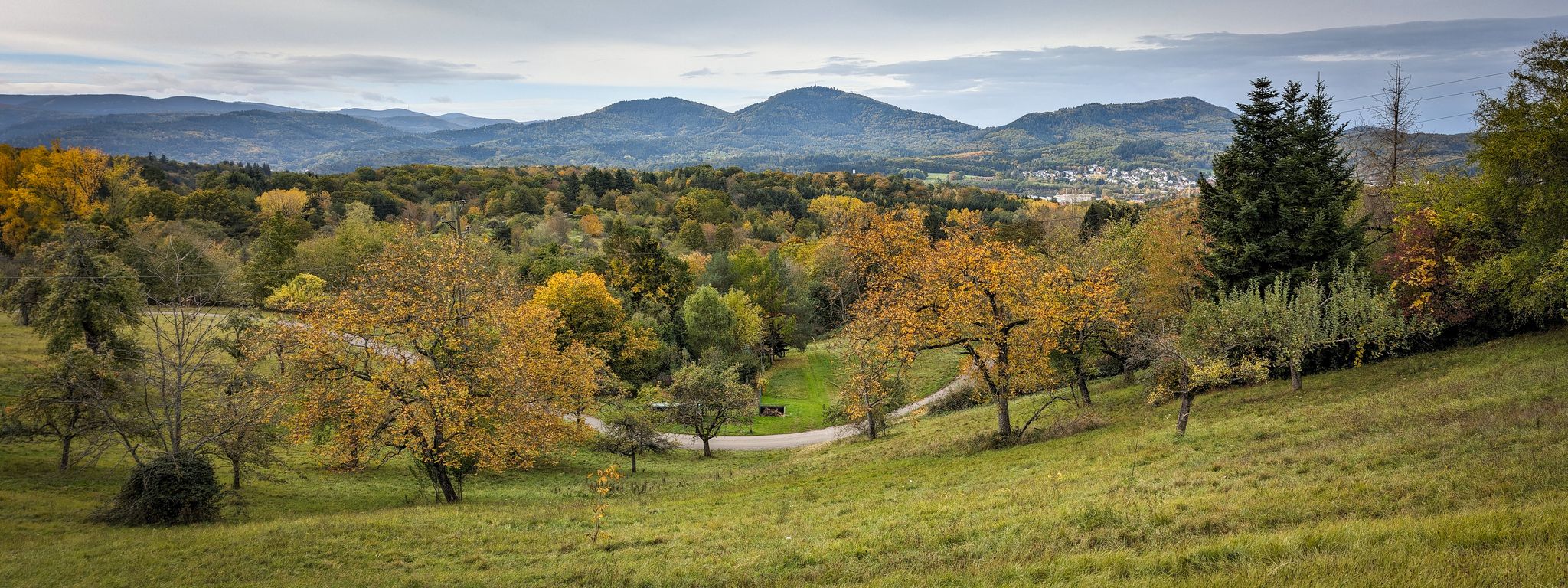 Panoramablick vom Mühlweg über Michelbach zum Merkur und in den Schwarzwald