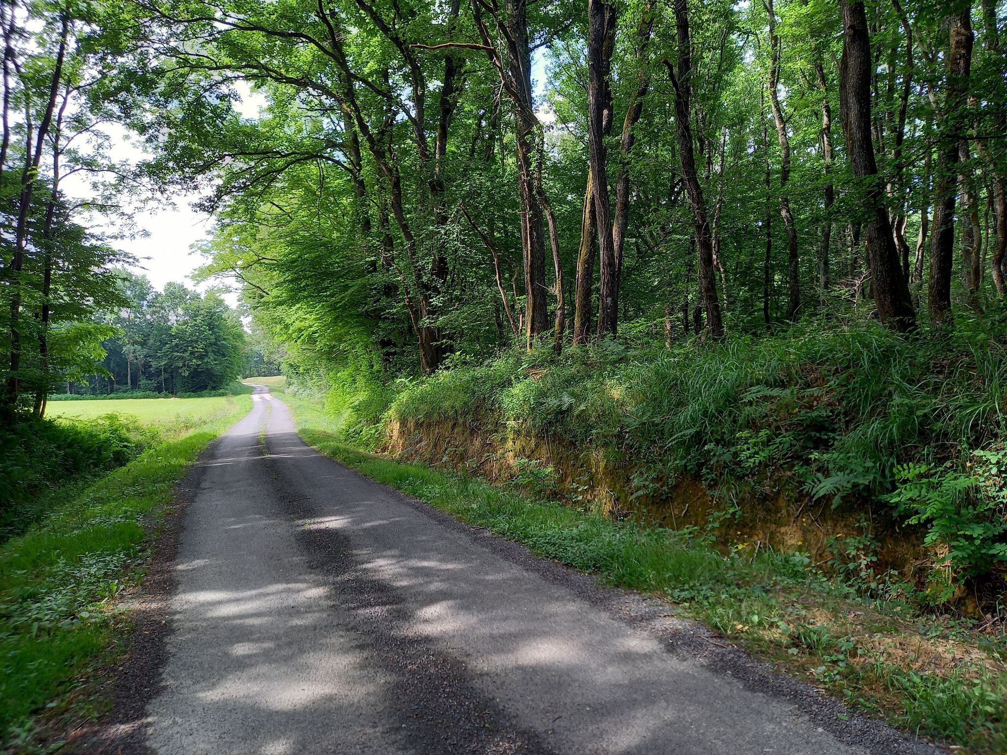 route de la Bresse
