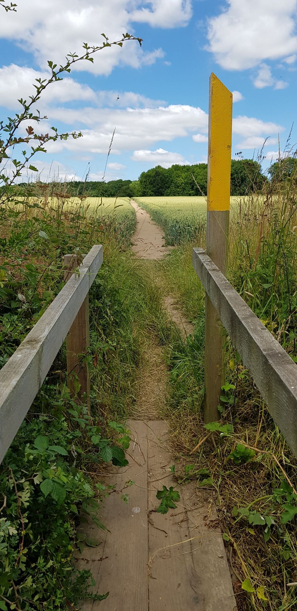 Footbridge