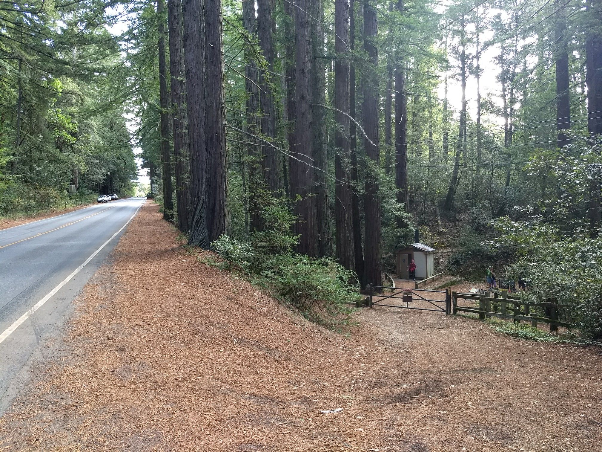 A road next to tall redwood trees, with a gated path into the forest. - Purisima Creek Trailhead – Kings Mountain Road loop from Huddart County Park