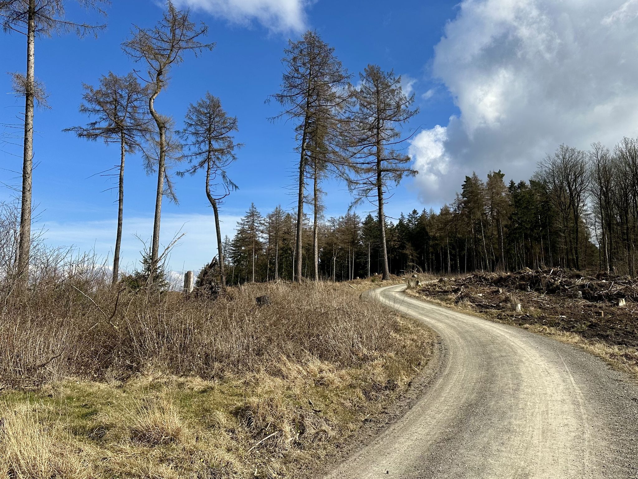 Aufstieg zum Kalenberg