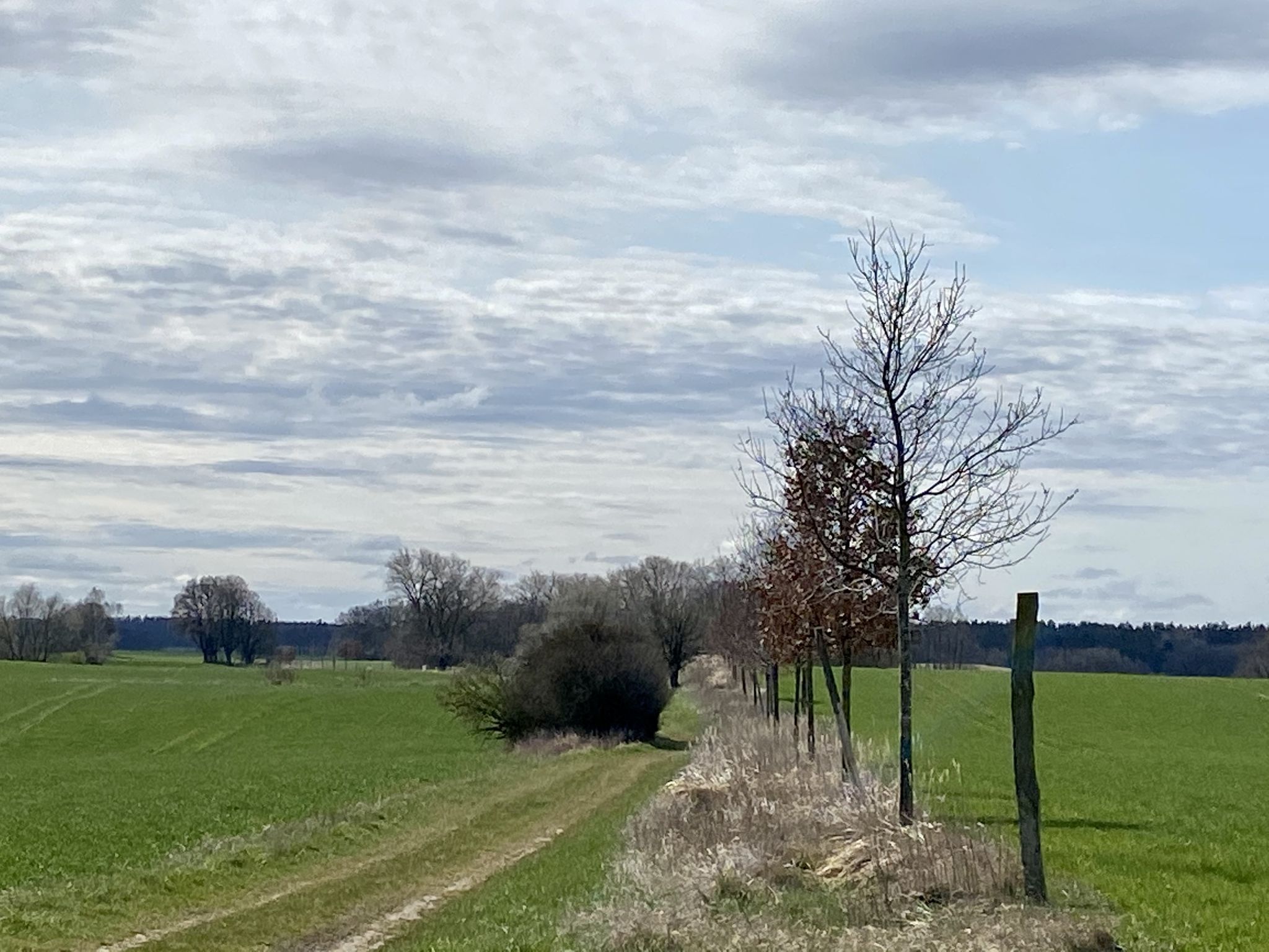 Der alte Landweg Pinnow- Wildberg