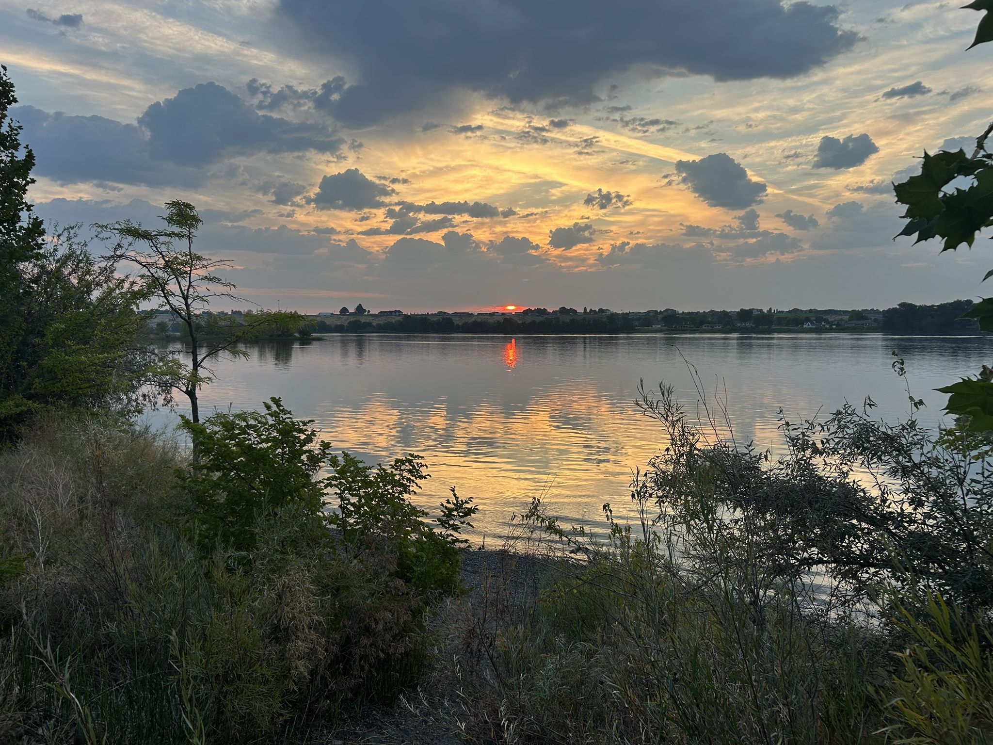 Golden sunset over a calm lake, with reflections and dark foreground foliage. - Riverfront Trail loop from Washington State University - Tri-Cities