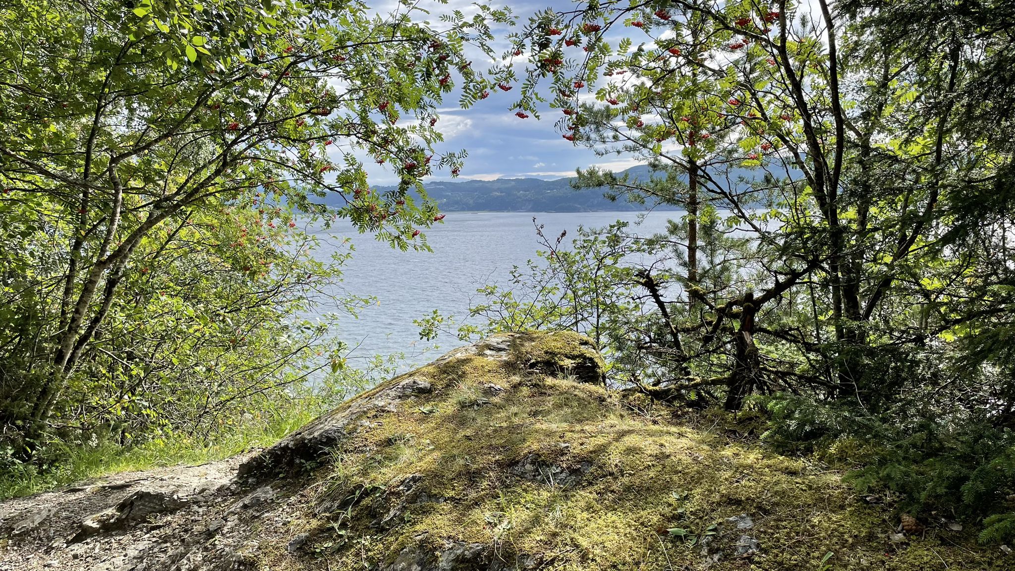am Trondheim Fjord