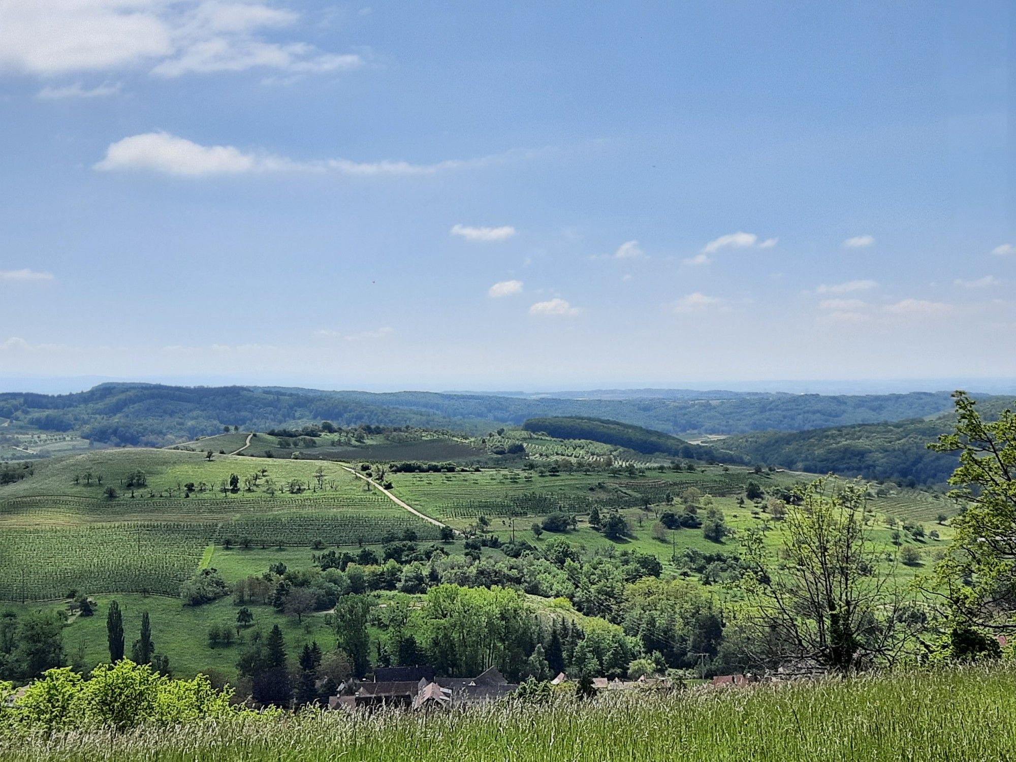 Ausblick vom Paradies 