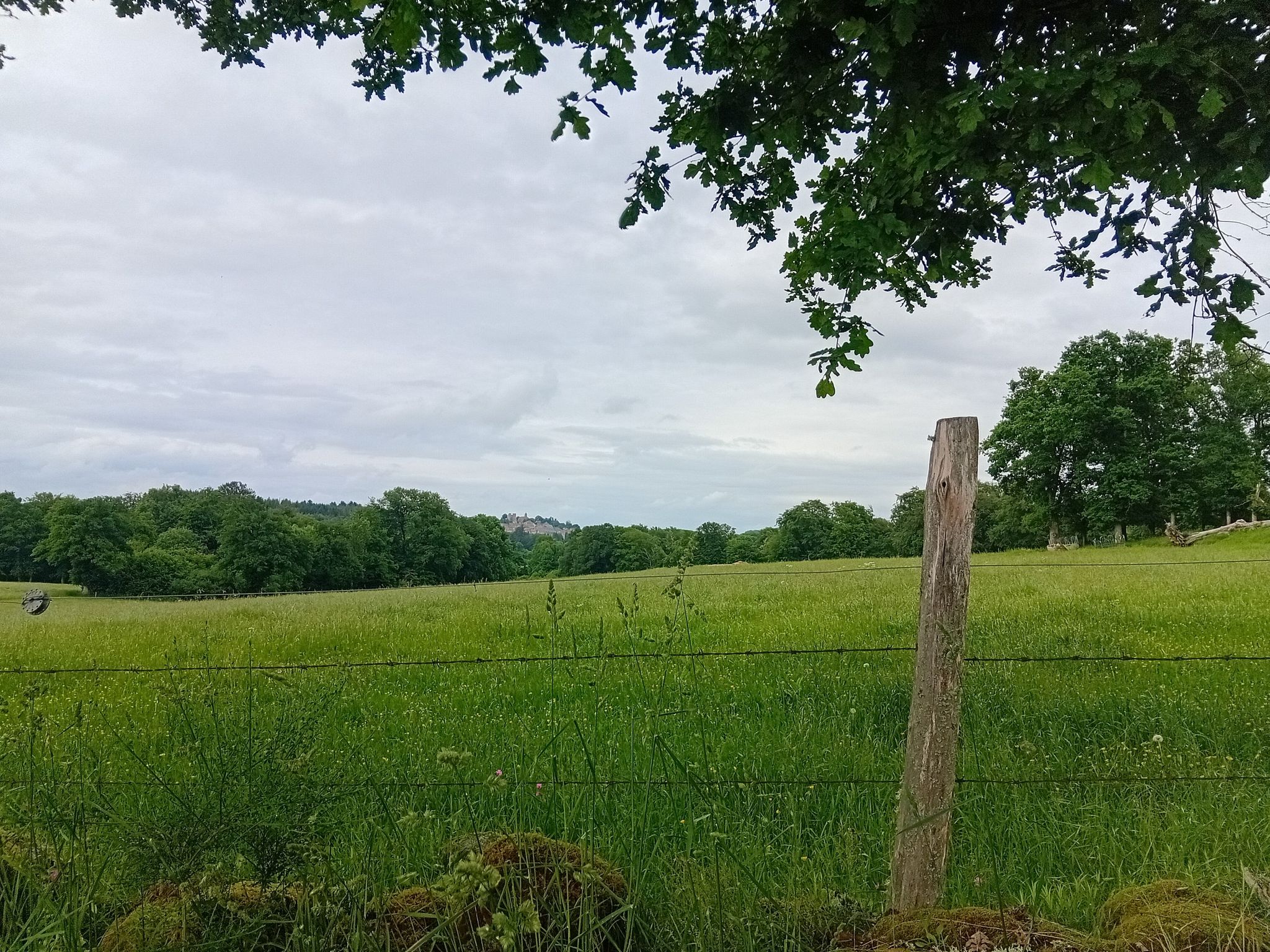 vue sur Crocq