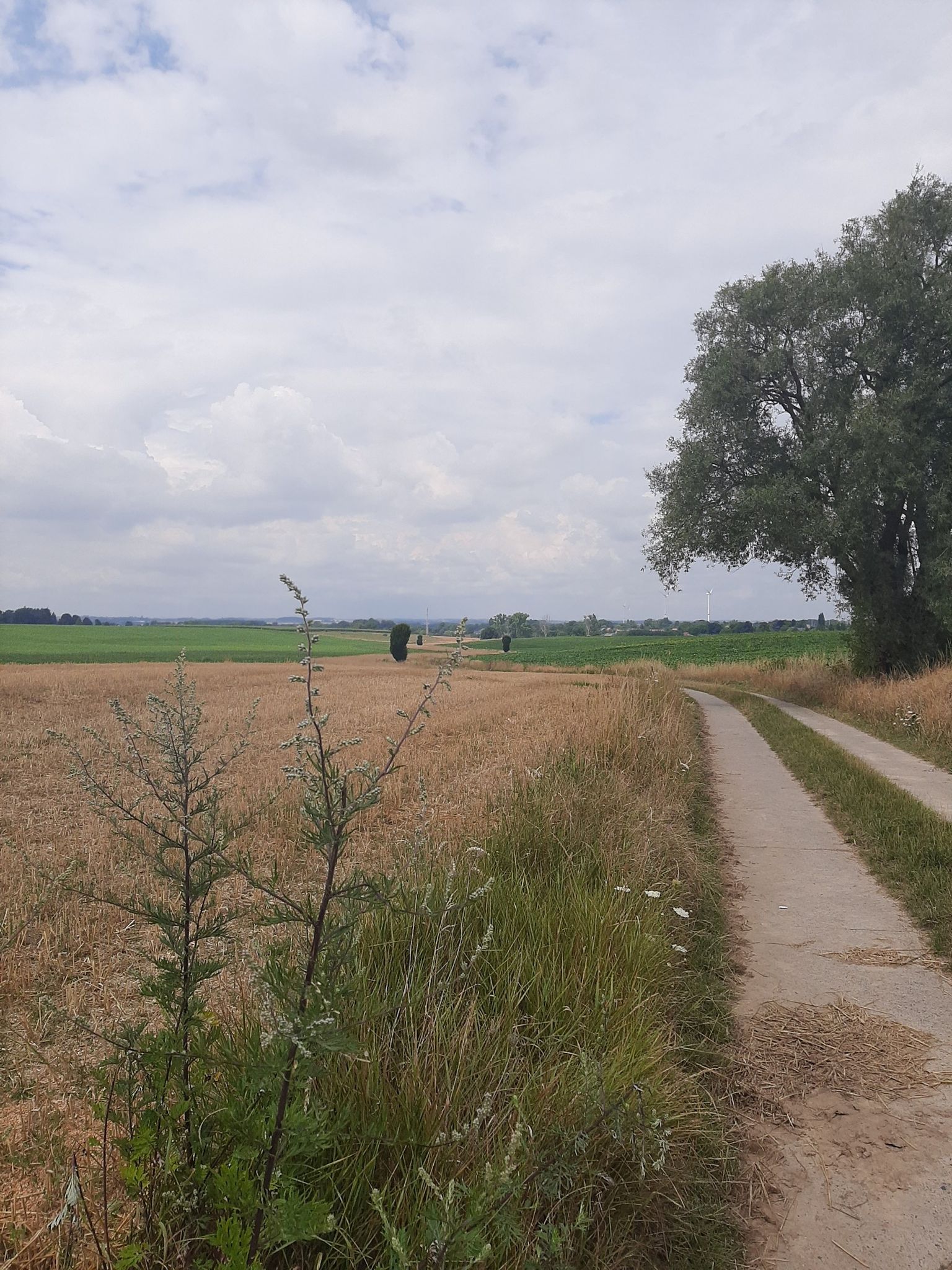 op weg naar Lincent