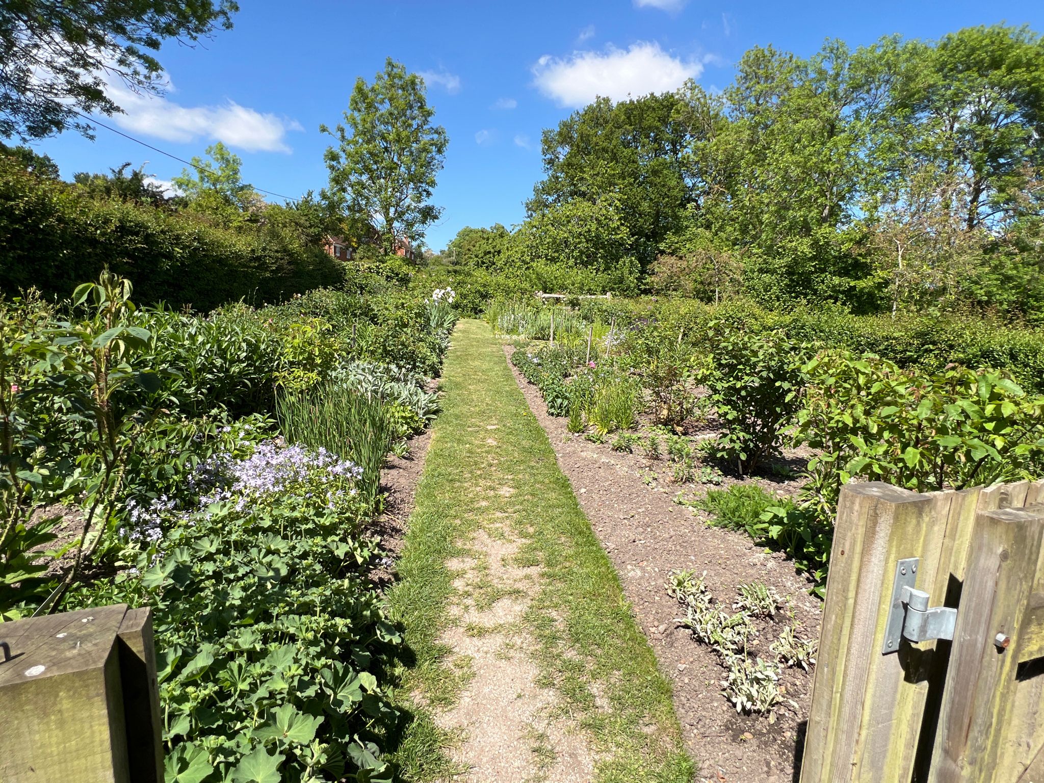 Kleiner Bauerngarten mit Blumen