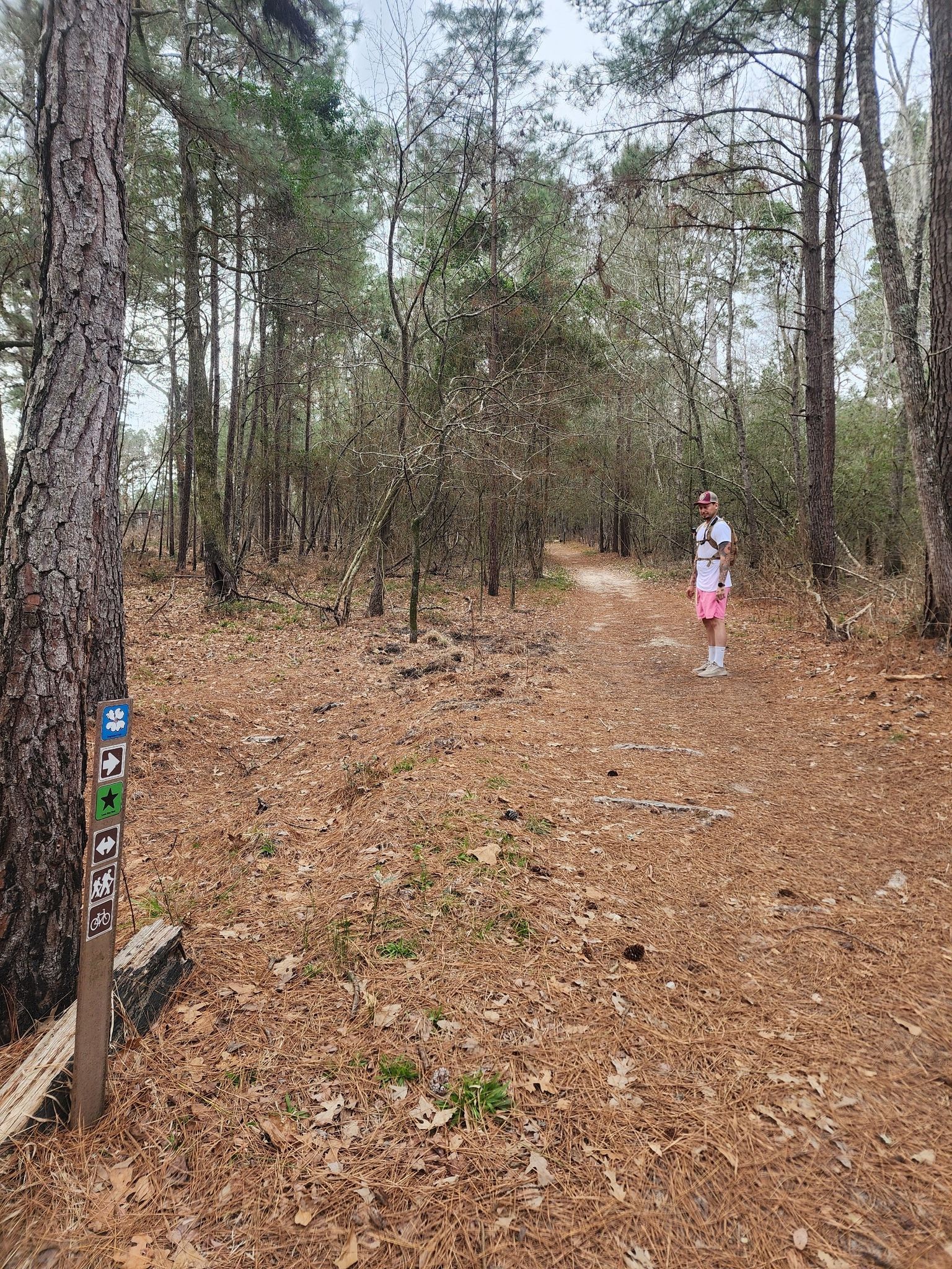A person stands on a dirt path in a pine forest near a trail marker. - Lake Raven loop from Huntsville State Park