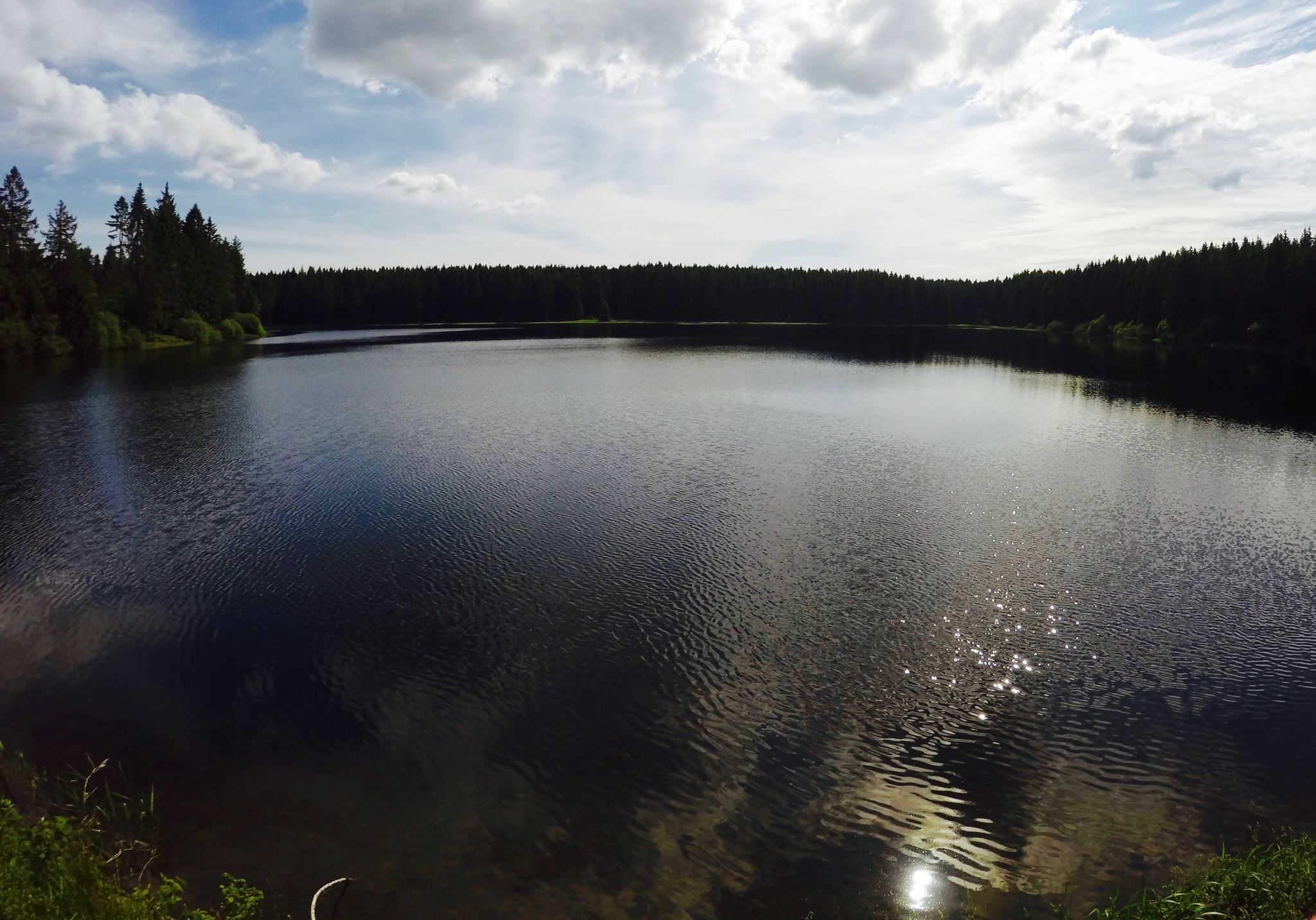 Schwarzenbacher Teich