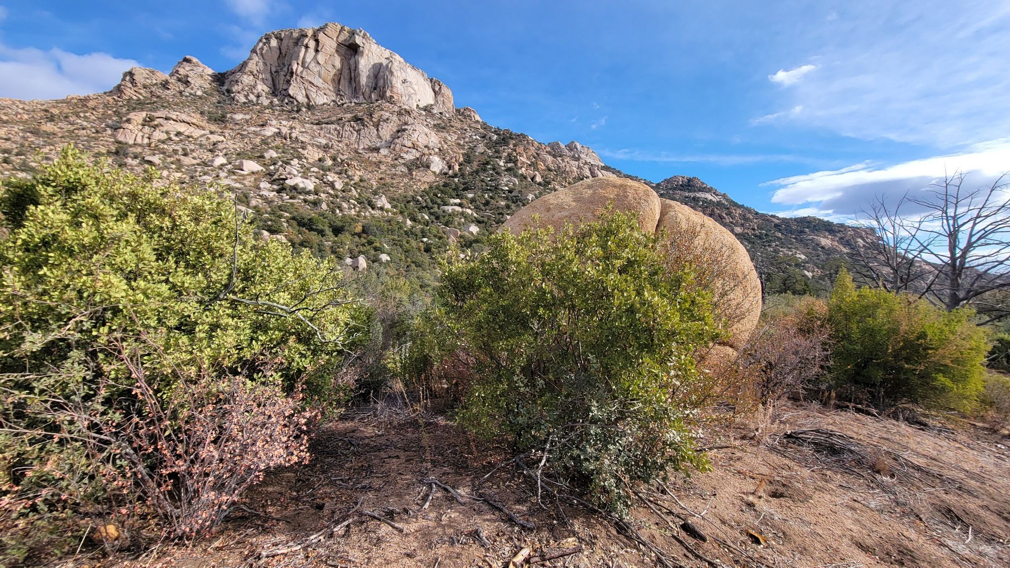 Large, smooth boulder and green bushes in front of a rocky mountain. - Little Granite Mountain Loop