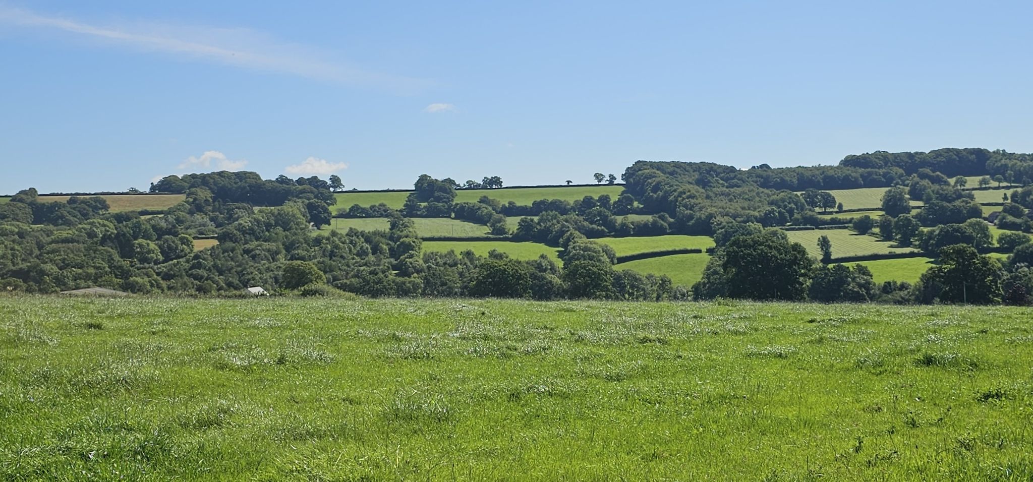 Blick in die Blackdown Hills ANOB
