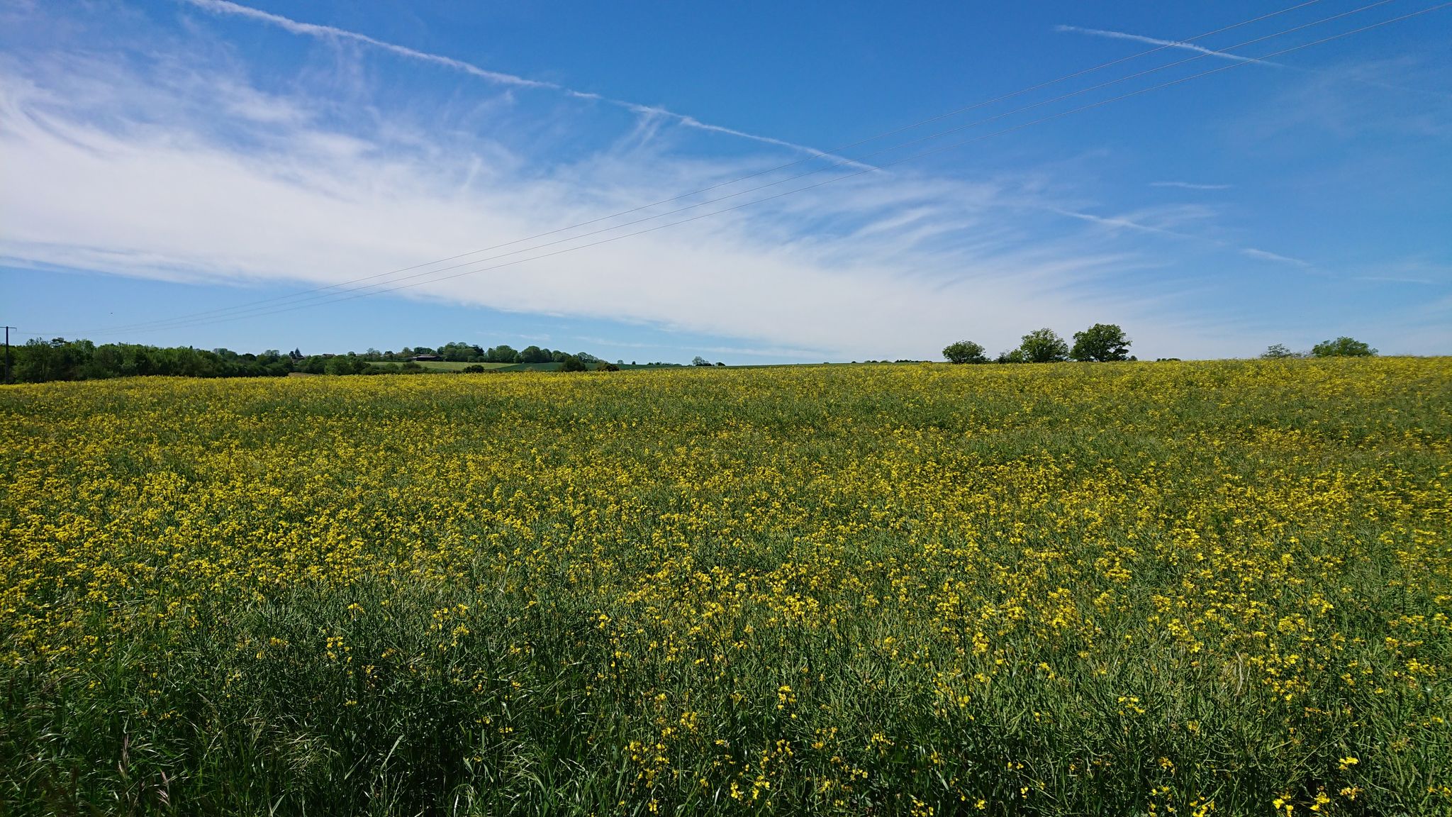 Landschft