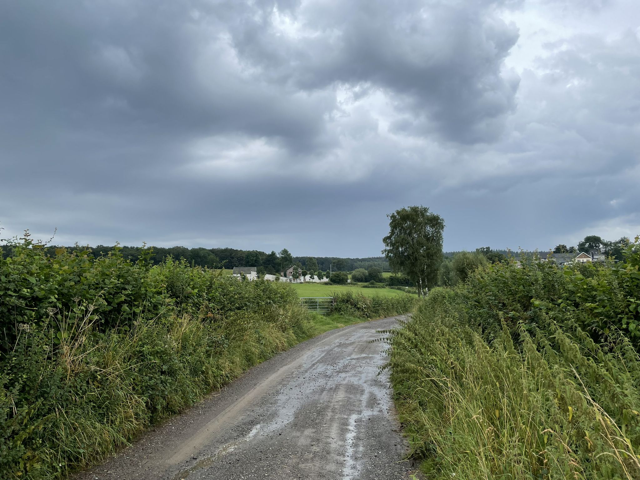 Mh ! Dunkle Wolken ziehen übers Land  . . . .