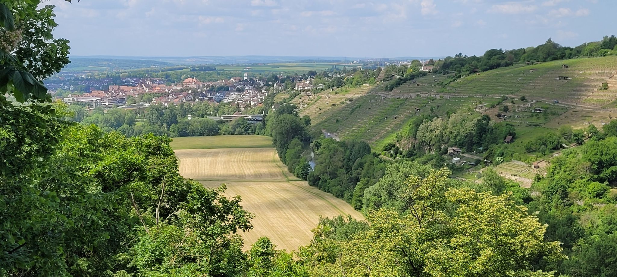 Blick auf Bietigheim