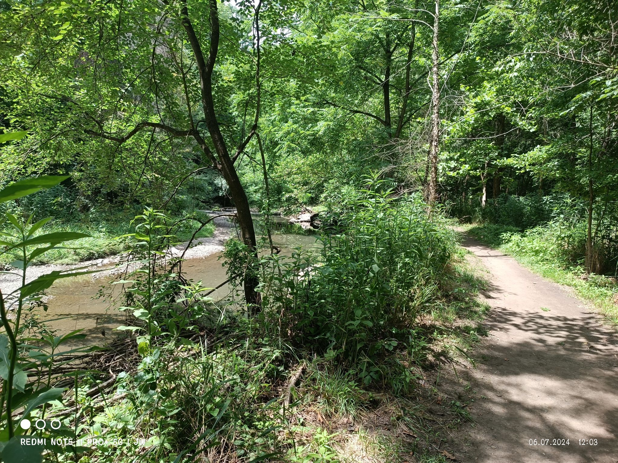 Shady dirt path alongside a shallow stream in a dense green forest. - Footpath along Nine Mile Run stream – South Clayton Trail loop from Wilkinsburg