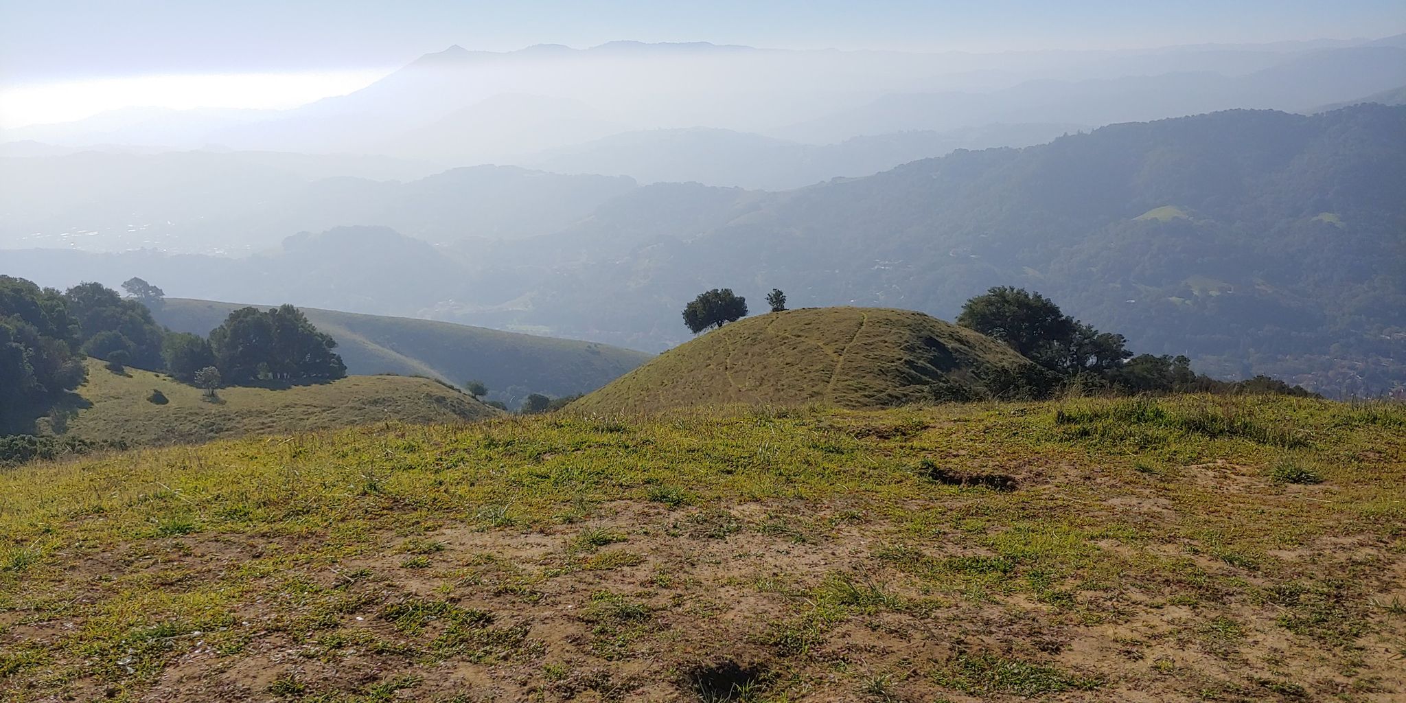 Grassy rolling hills with distant, hazy mountains under soft, bright light. - Goat Trail, Queenstone Fire Road, and Idylberry Trail Loop