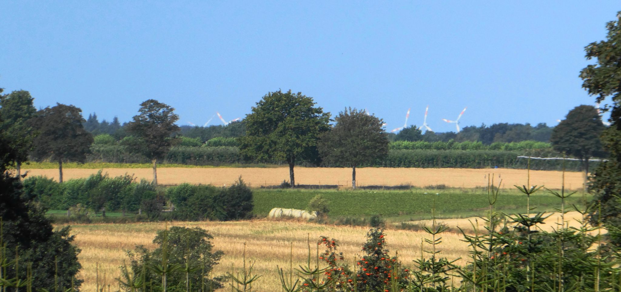 hügelige Geestlandschaft