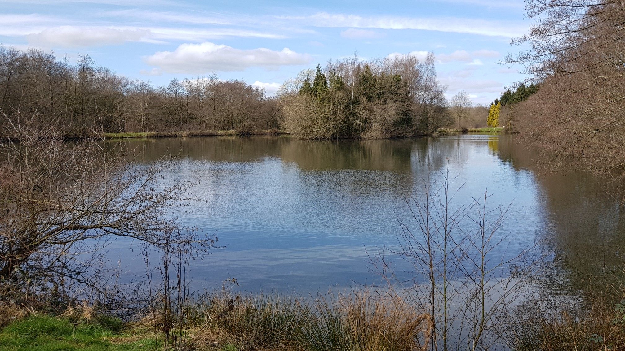 Higham Fishing Pond