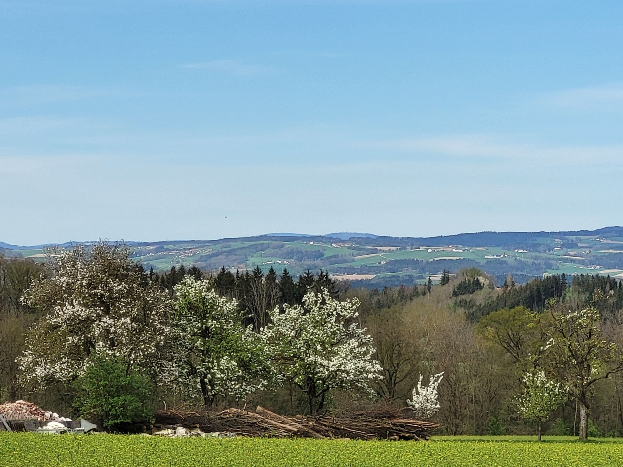 Weitblick von Blindendorf