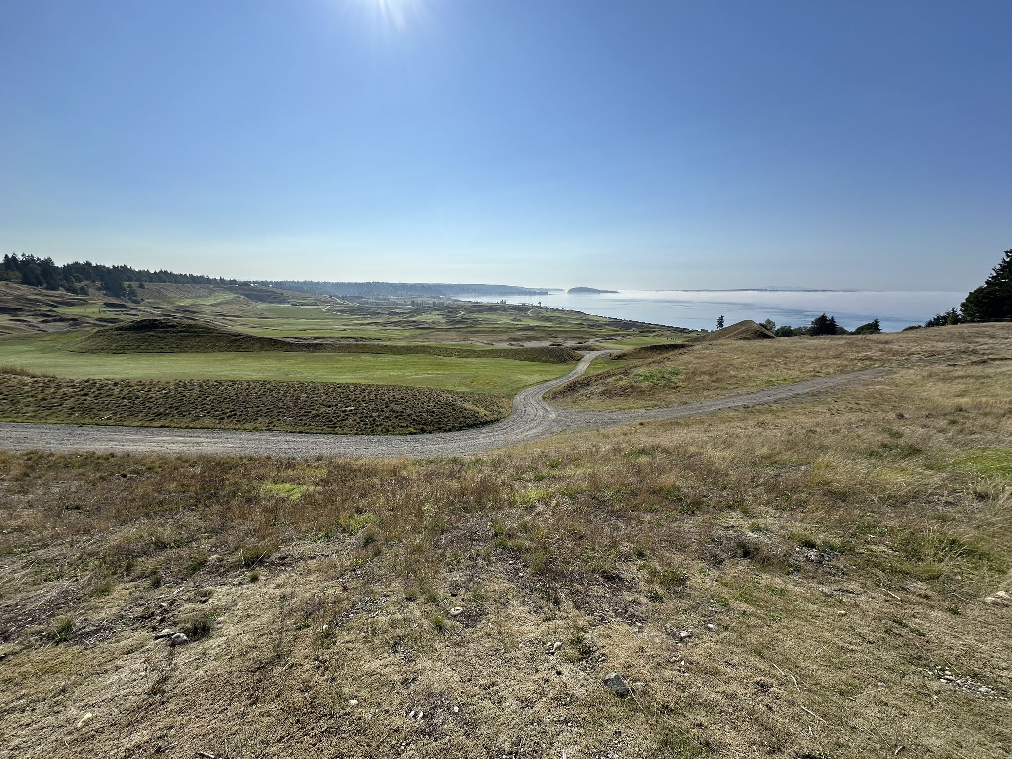 Sunny coastal golf course with rolling green hills and distant water. - Soundview and Grandview Trail Loop