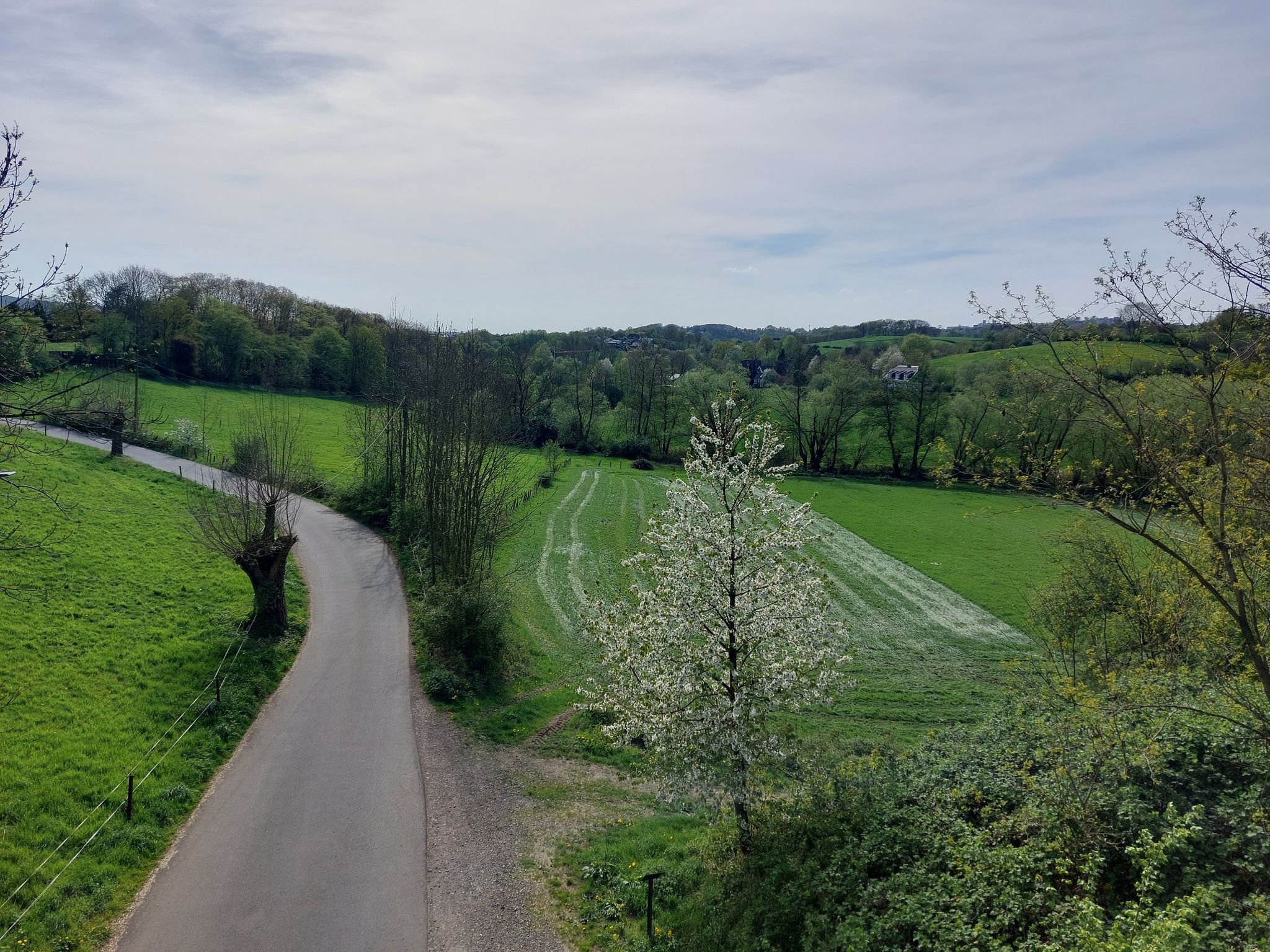 Und wieder mal auf der  Nordbahntrasse.